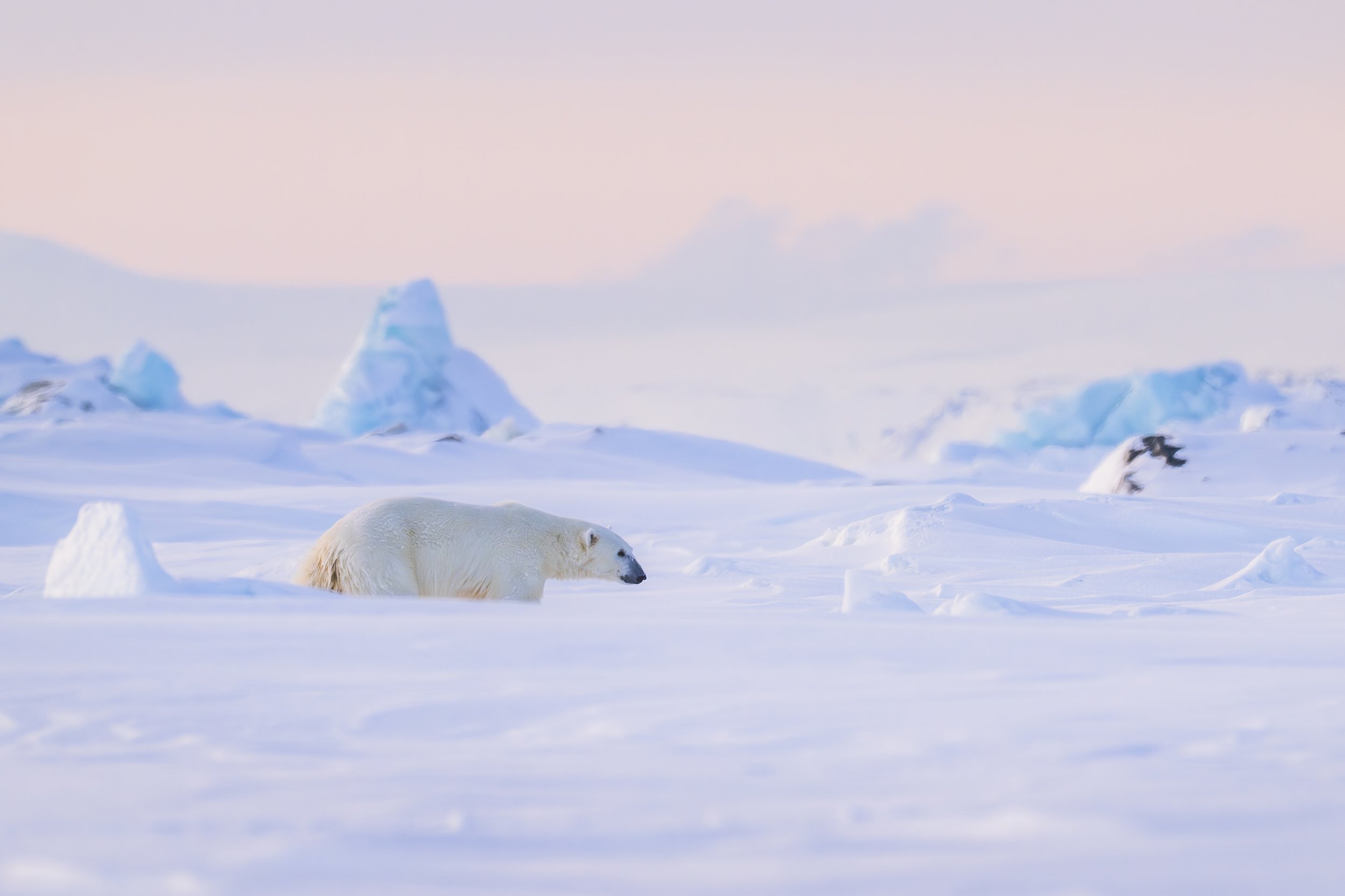 GANADU WILDLIFE-41.jpg