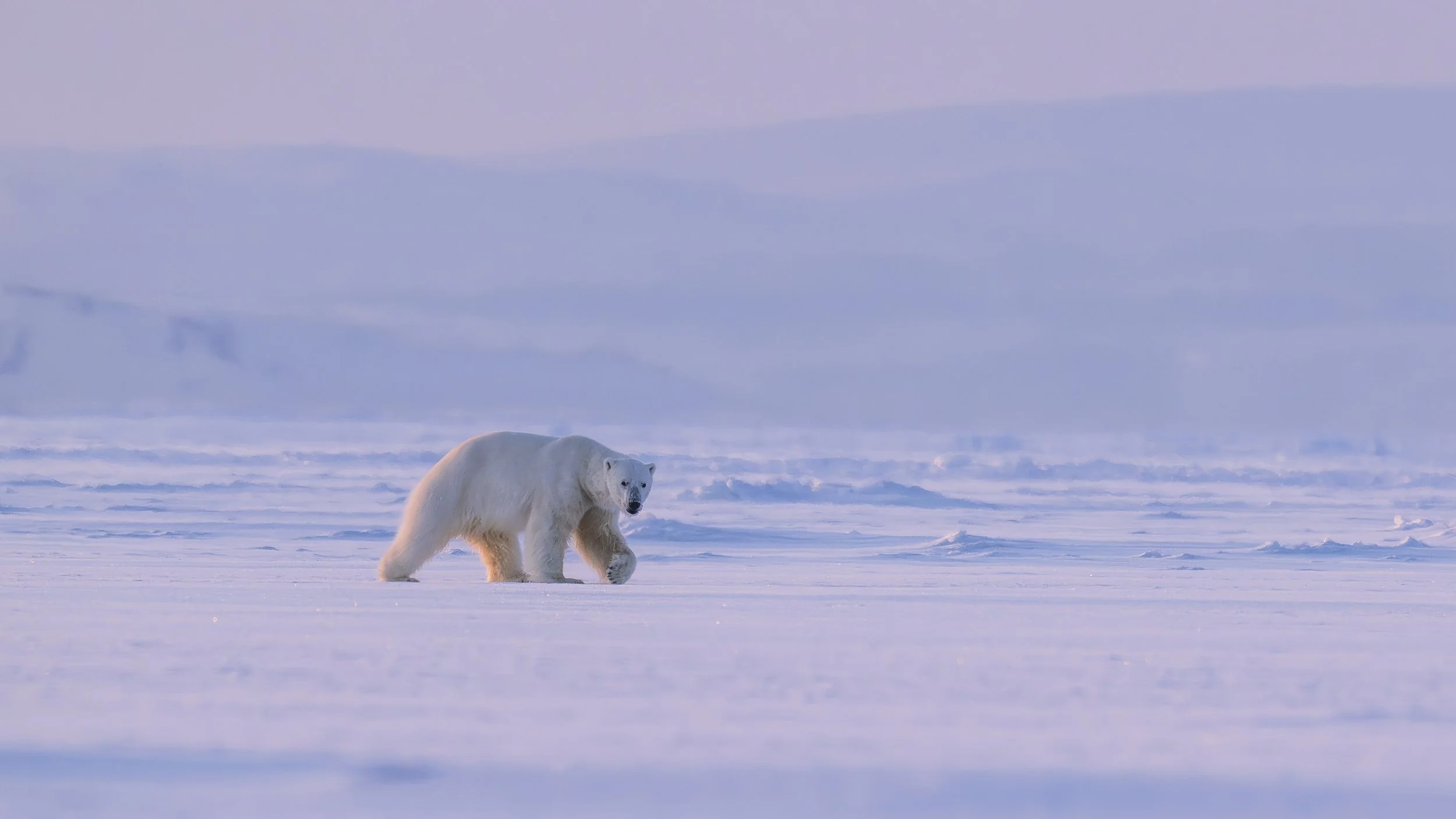 GANADU WILDLIFE-27.jpg