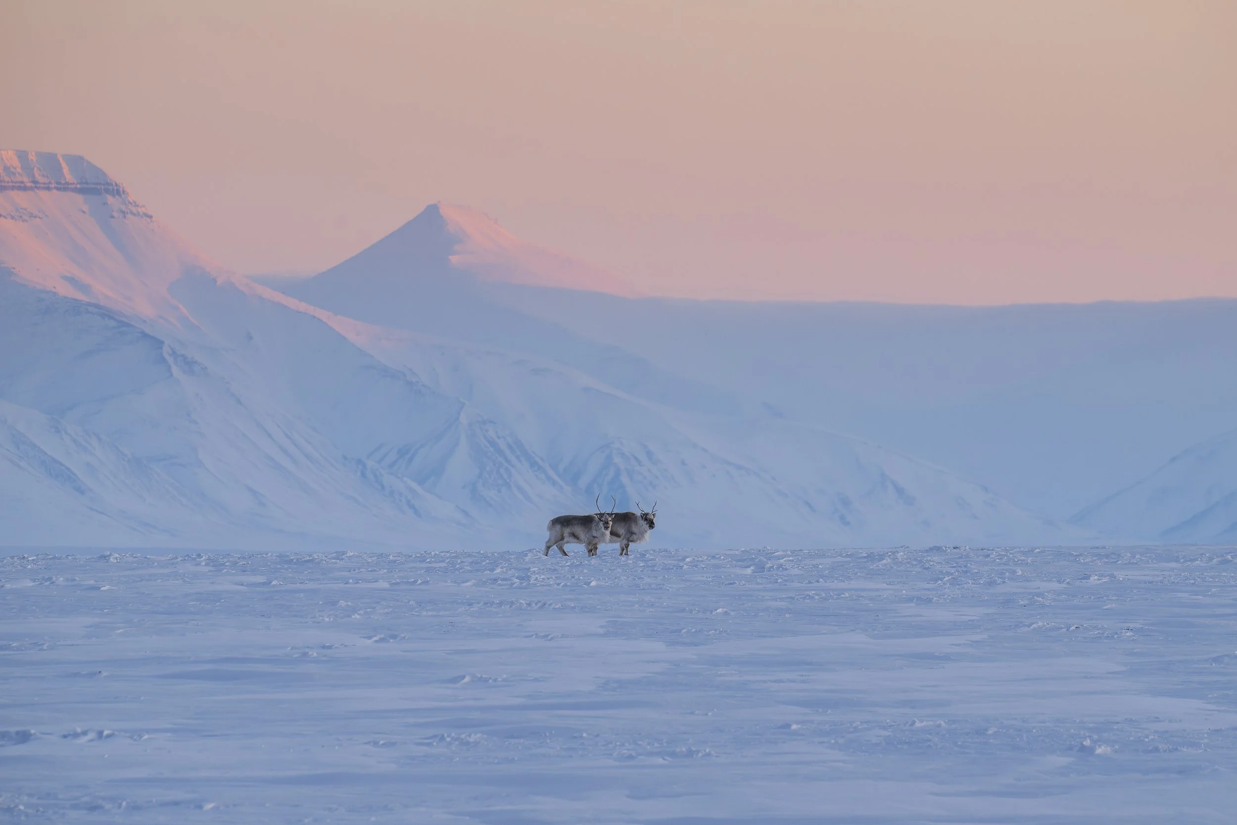 GANADU WILDLIFE-7.jpg