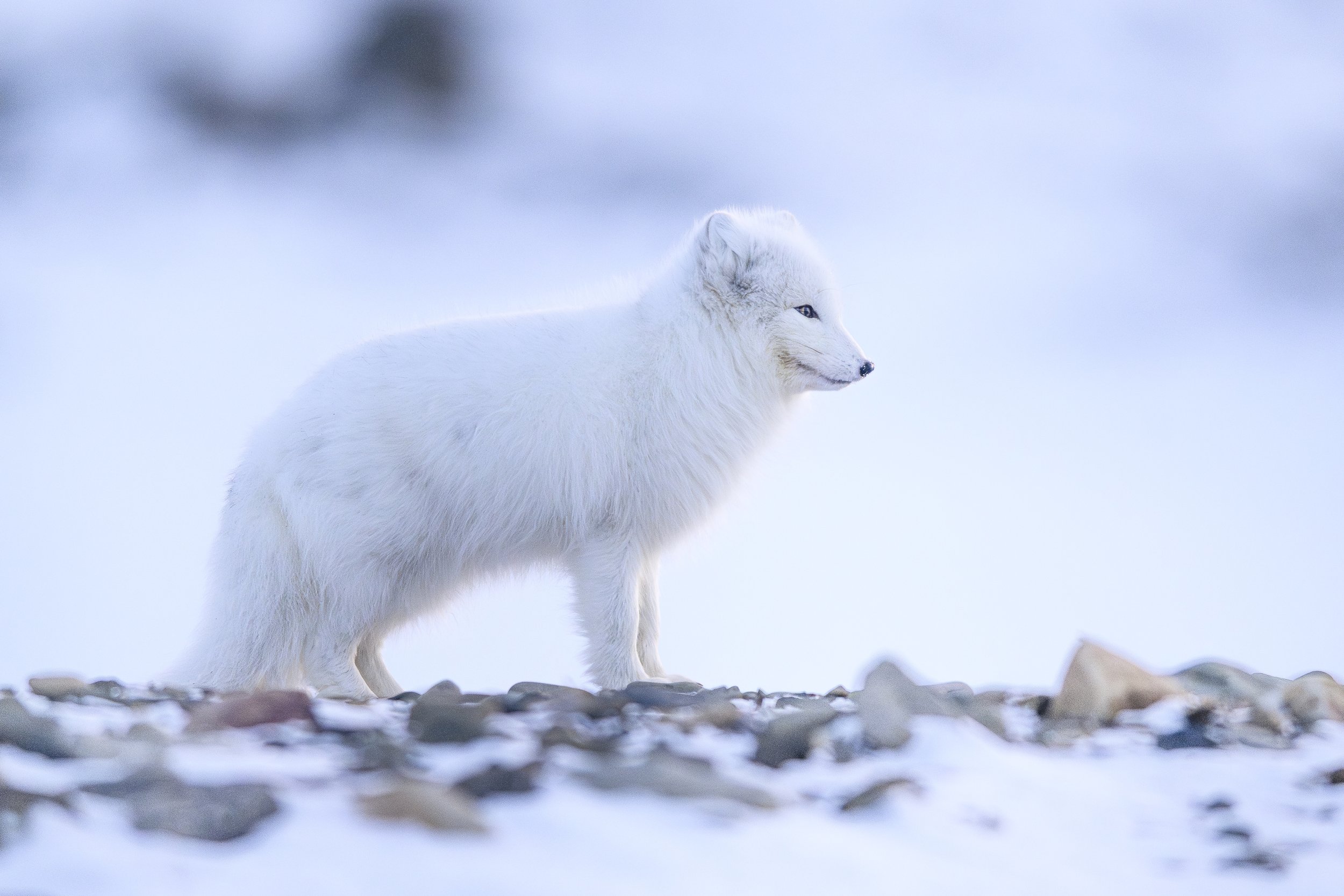 MATHEO 2026-11-2.jpg