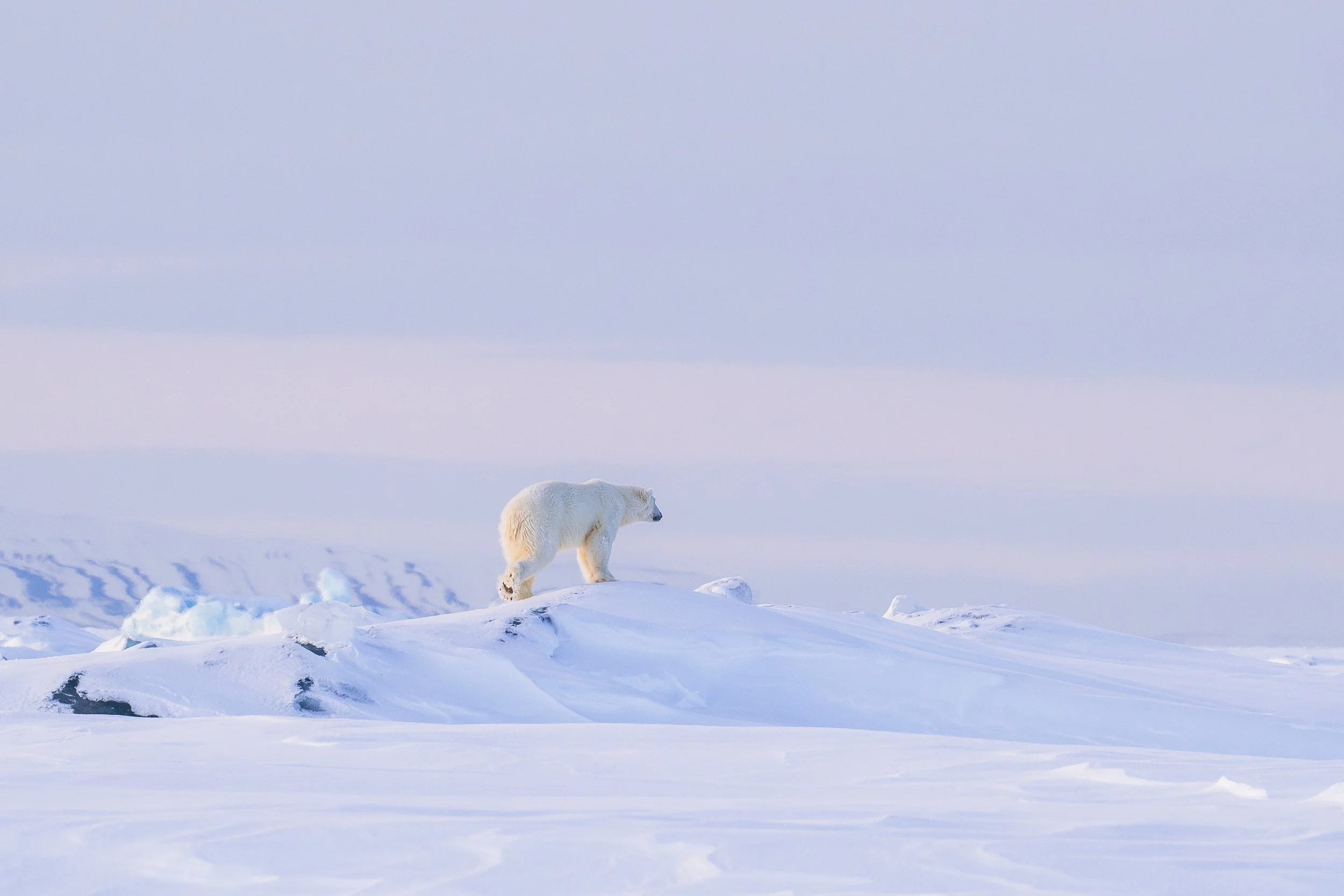 GANADU WILDLIFEDE-2 (2).jpg