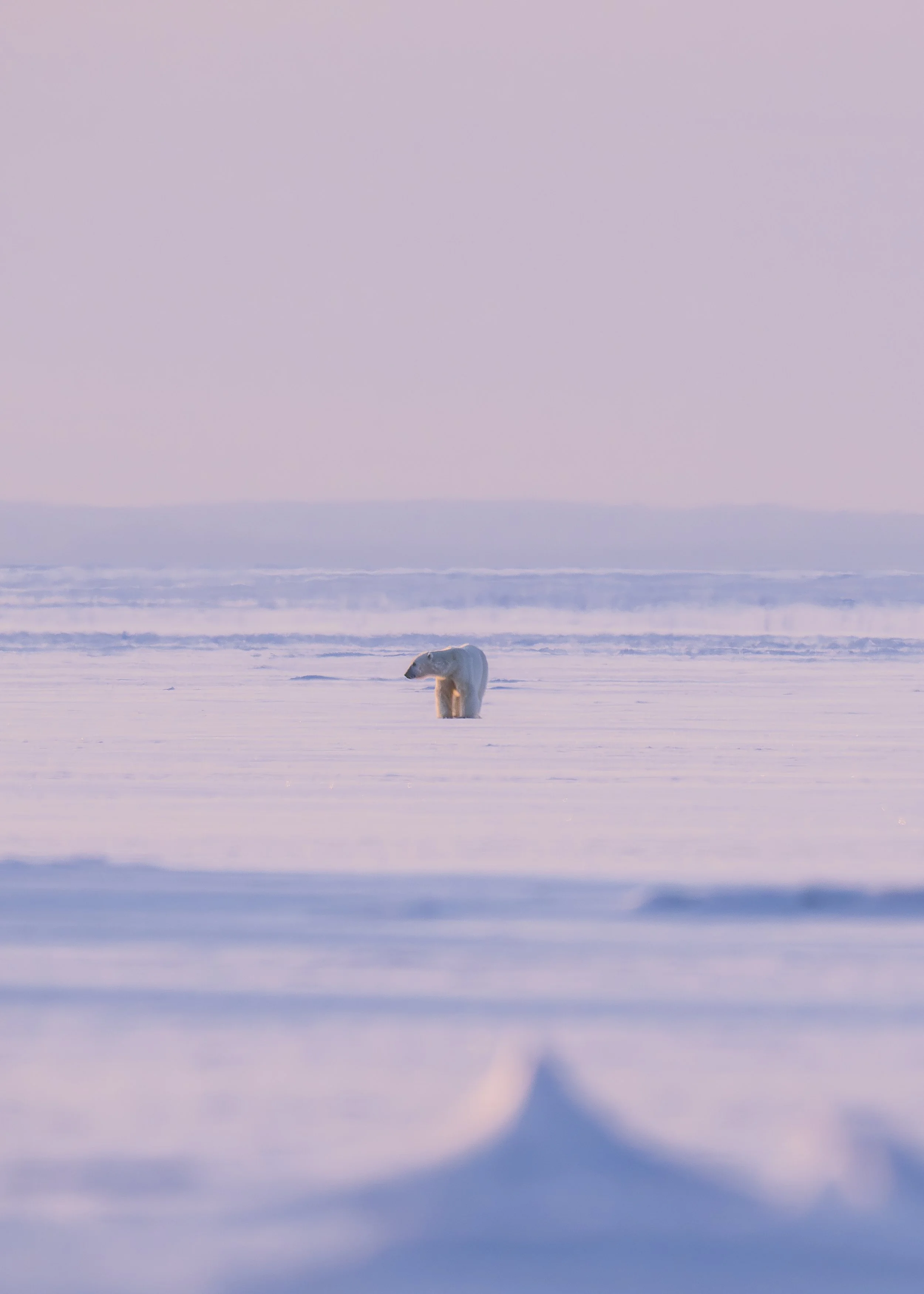 GANADU WILDLIFE-26.jpg