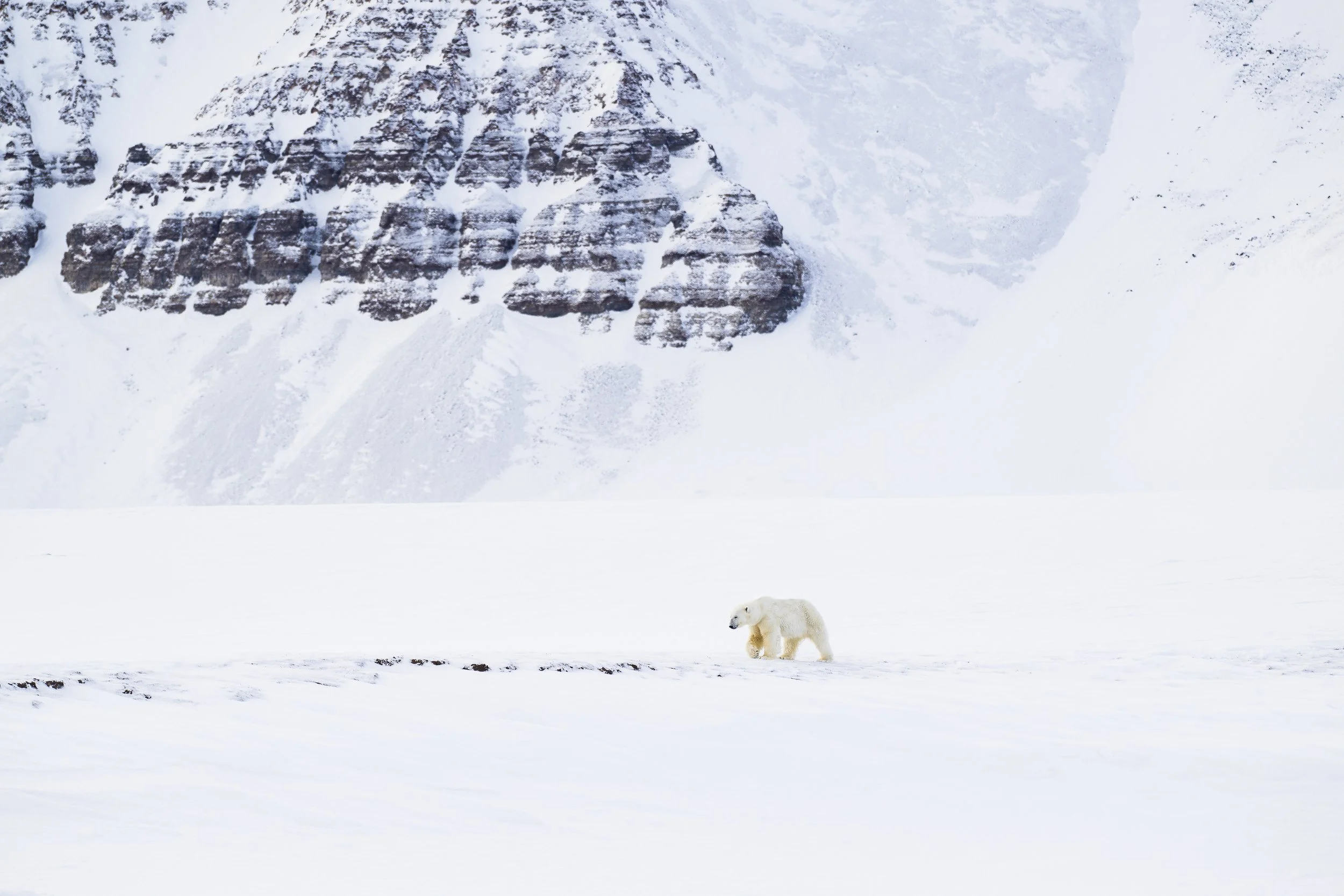 GANADU WILDLIFE-23.jpg