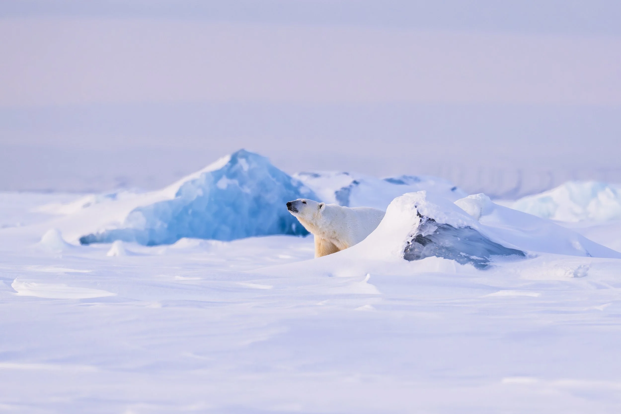 GANADU WILDLIFEDE-2 (5).jpg