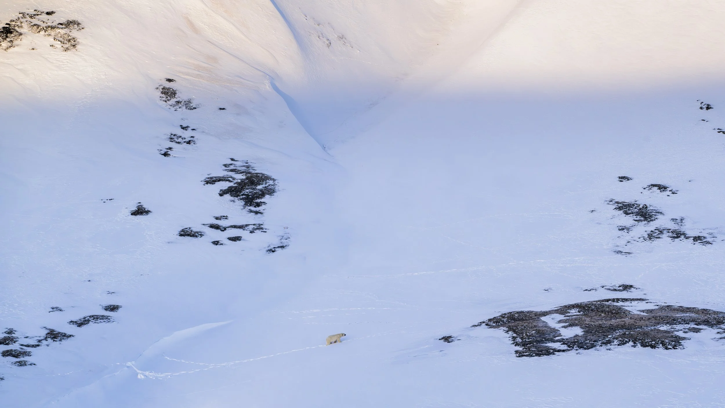 GANADU WILDLIFE-2.jpg