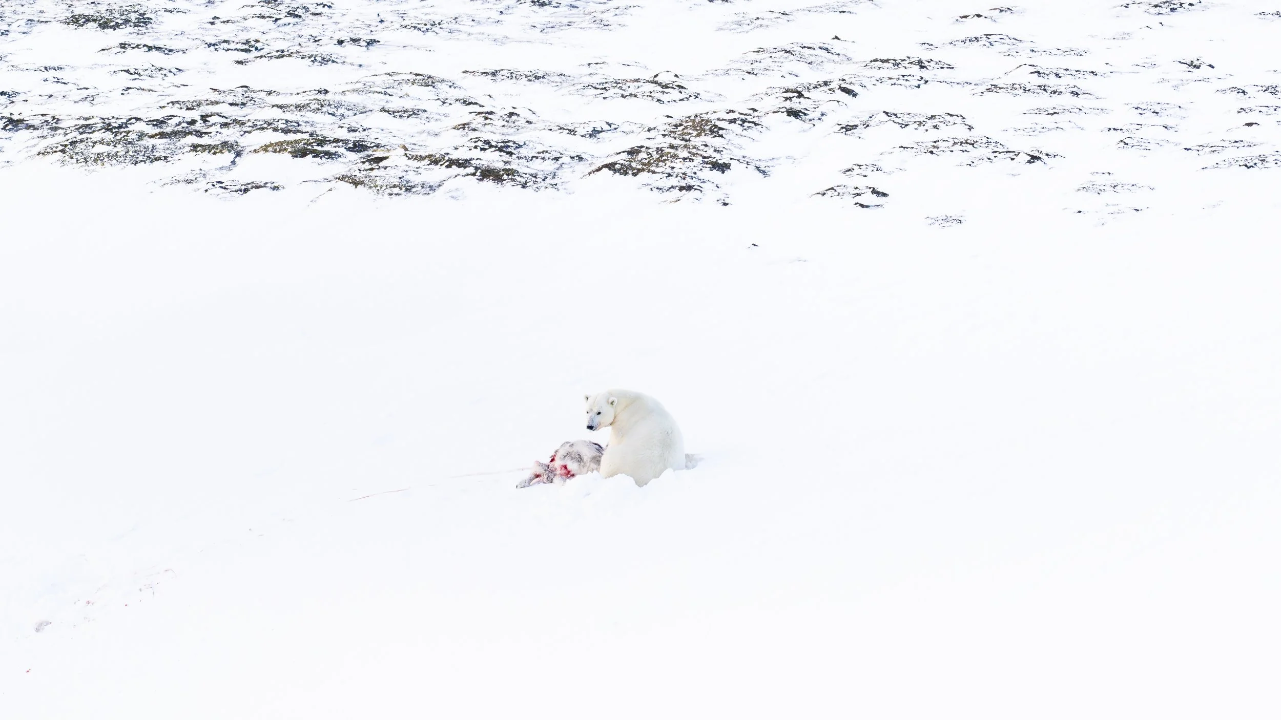 GANADU WILDLIFE-12.jpg