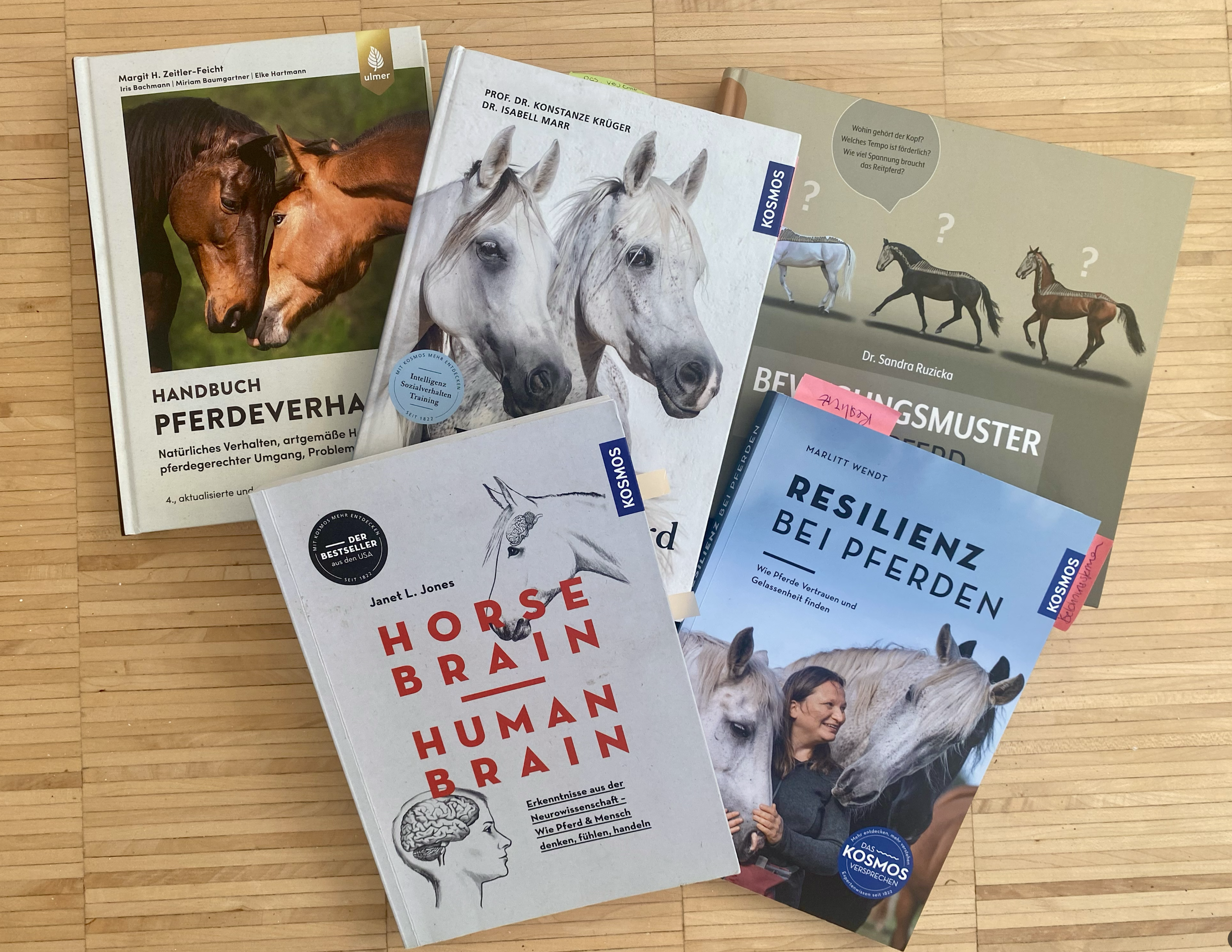 5 Bücher die jeder Pferdemensch haben sollte 