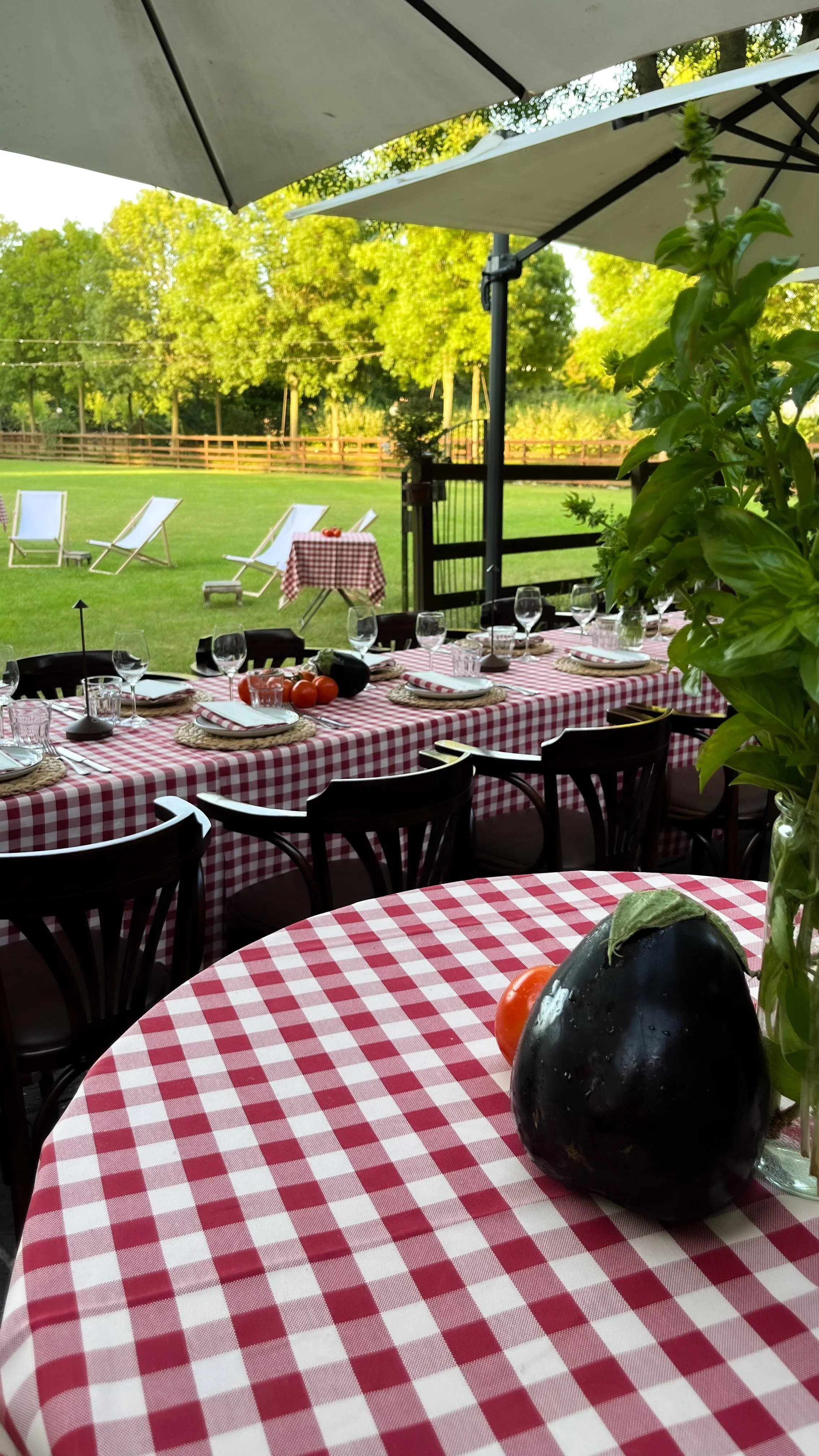 WhatsApp Image 2024-11-12 at 15.38.30.jpeg