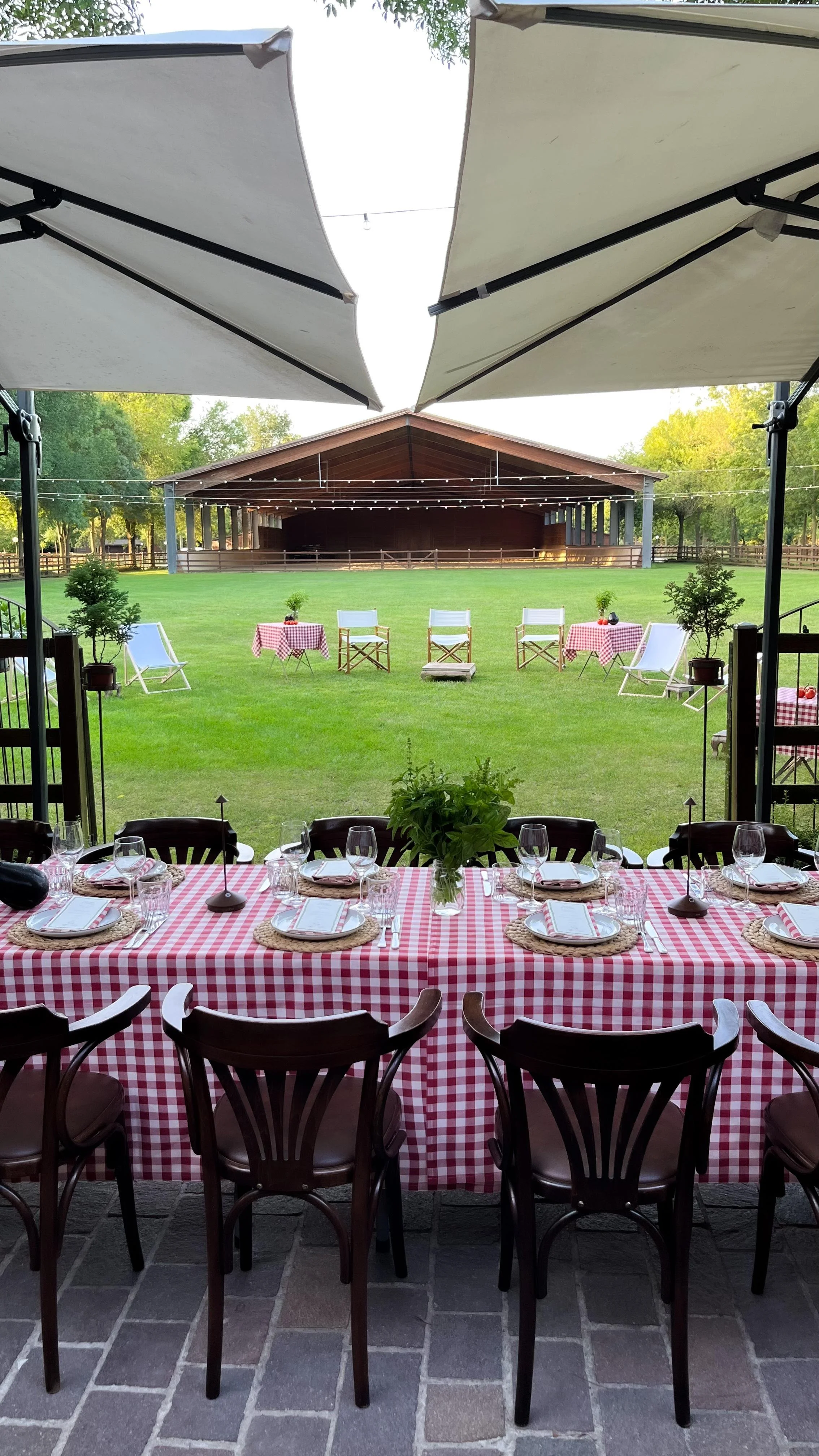 WhatsApp Image 2024-11-12 at 15.38.27 (1).jpeg