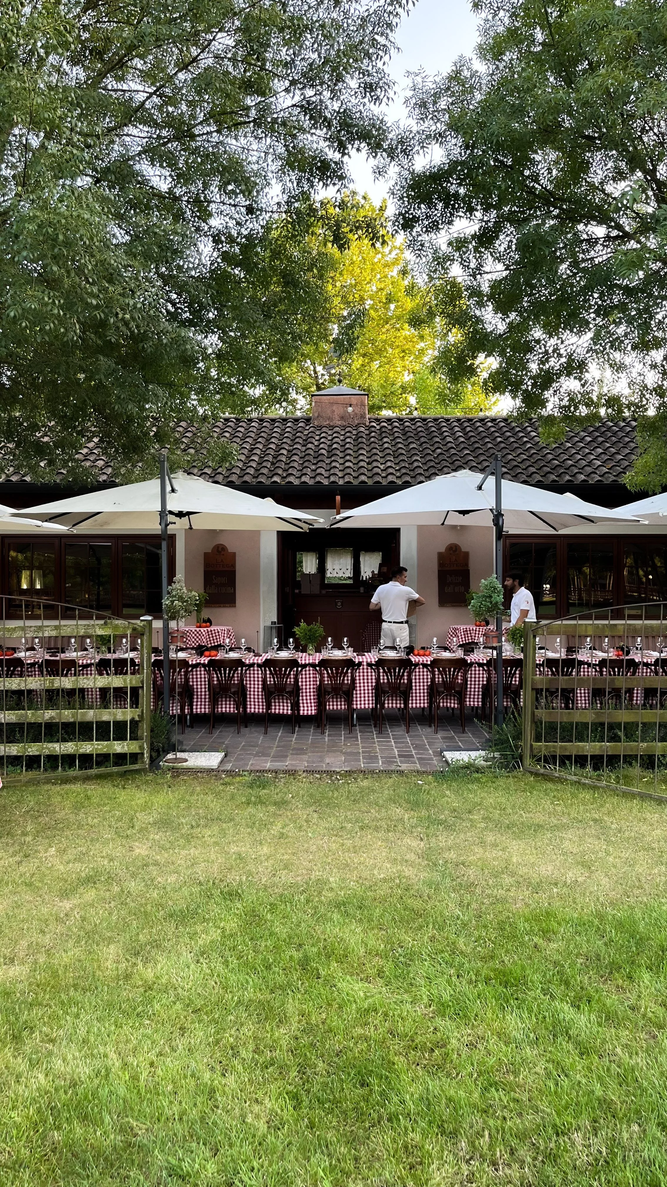 WhatsApp Image 2024-11-12 at 15.38.28.jpeg