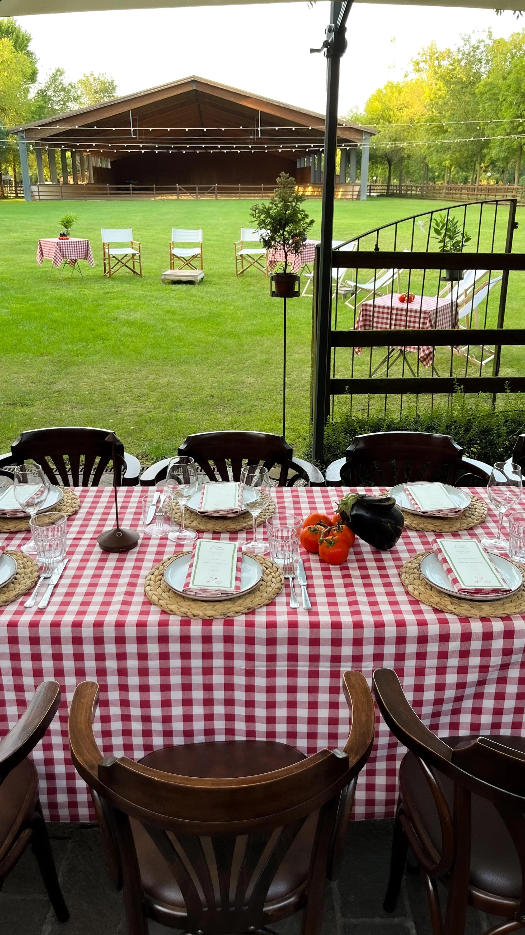 WhatsApp Image 2024-11-12 at 15.38.29 (1).jpeg