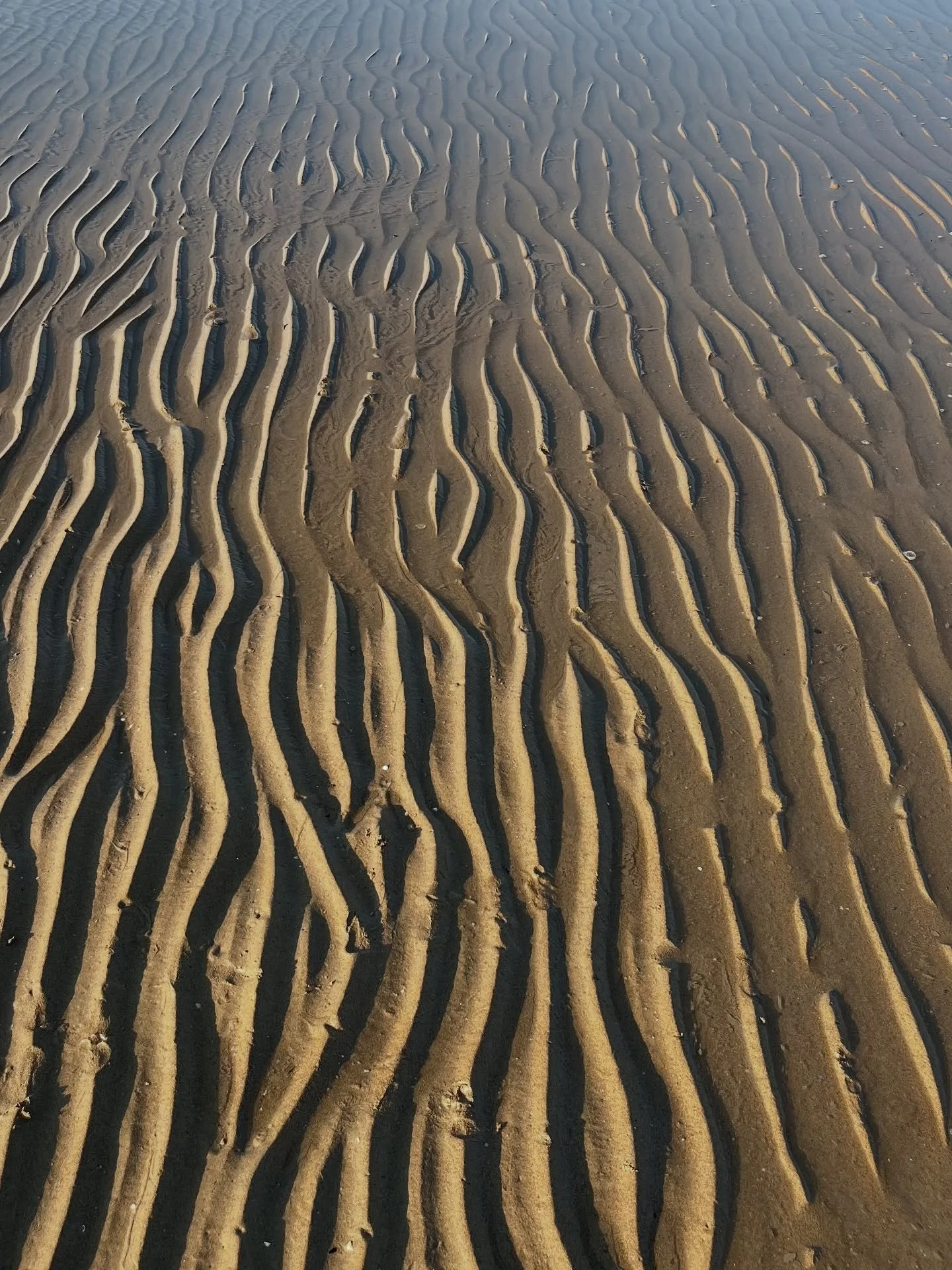 Vacations textures # 2 

#italiansummer