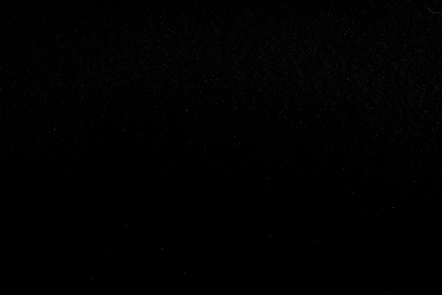 Official Merch Store — Bloom