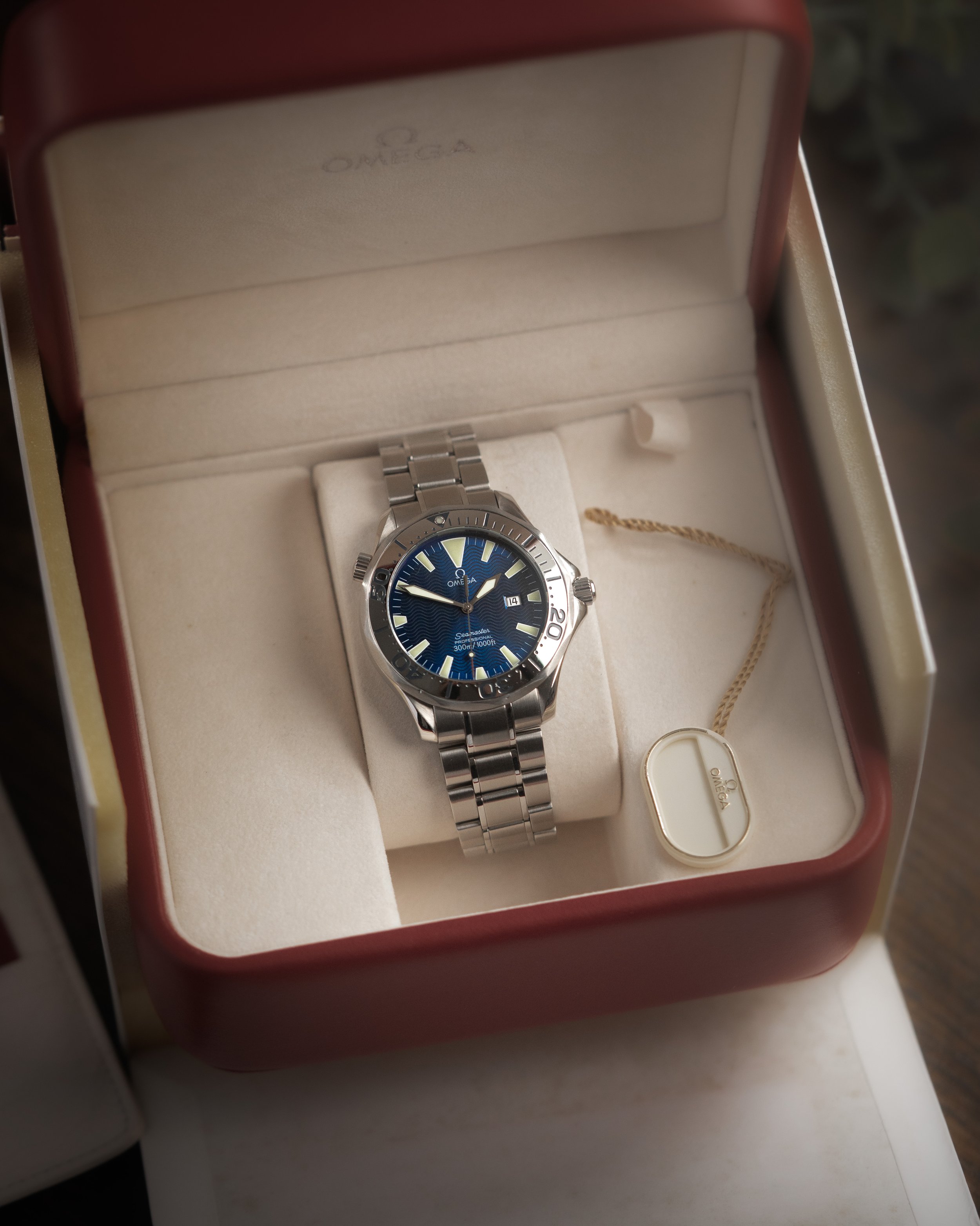 BLUE SEAMASTER-3.jpg