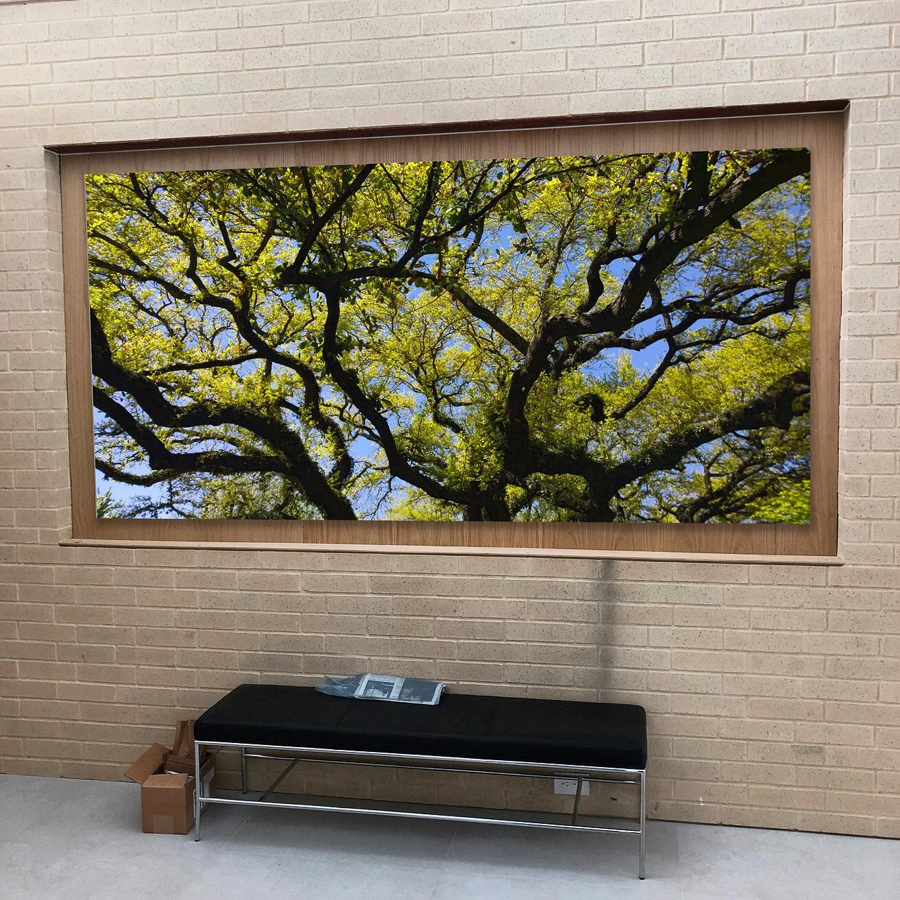 873CAA66-E0BC-4253-B6A6-FC9E410CCBF5 (1).jpeg