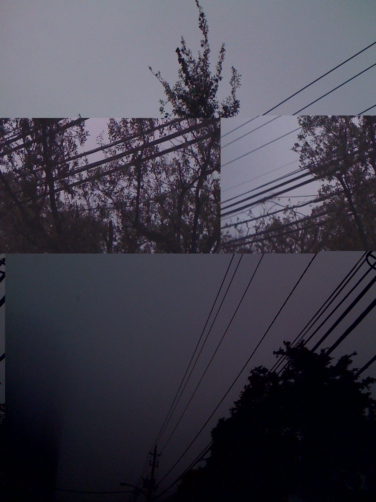 031609_davidabrown_crashed_012_48993712407_o.jpg