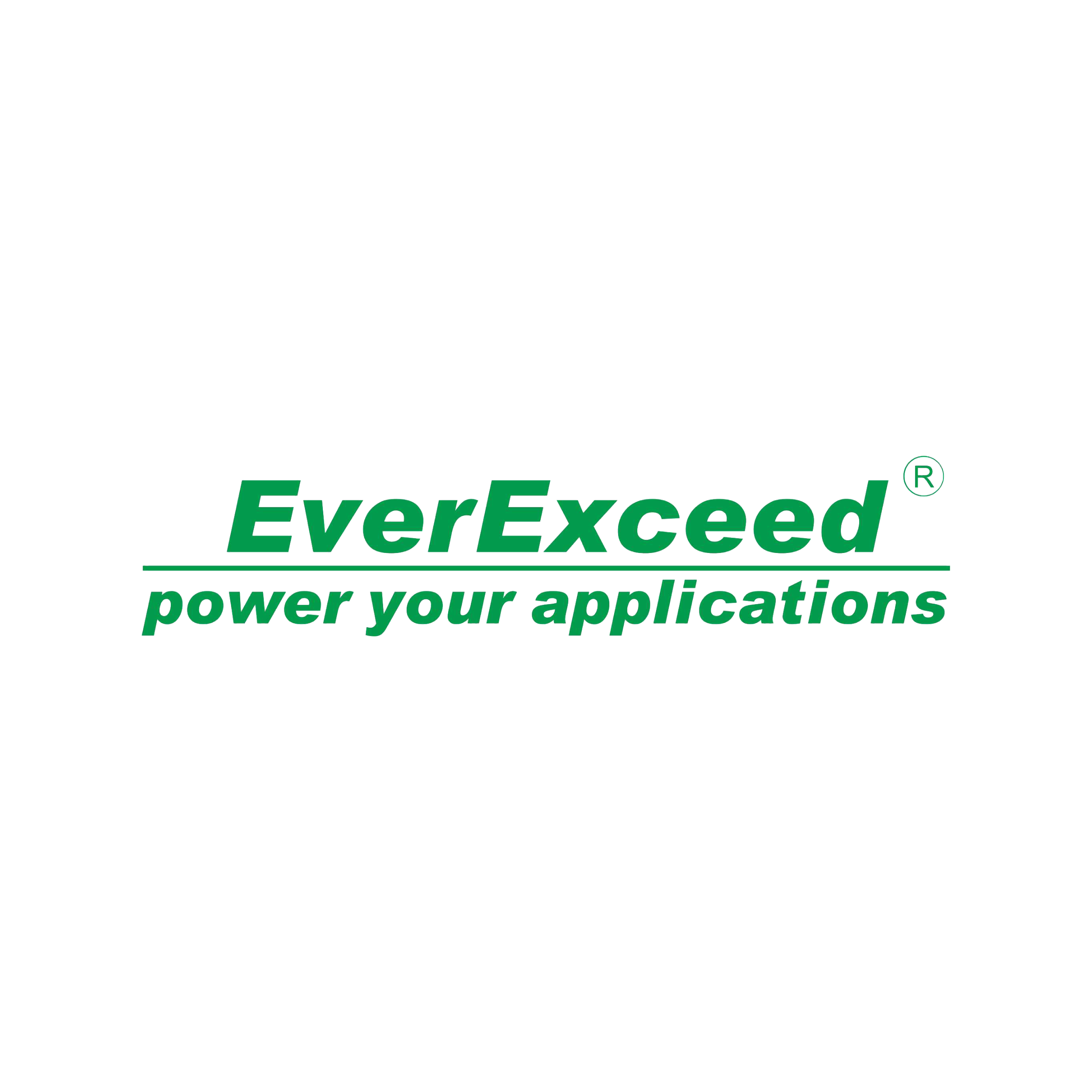 EverExceed logo with tagline 'power your applications' in green text on a black background.