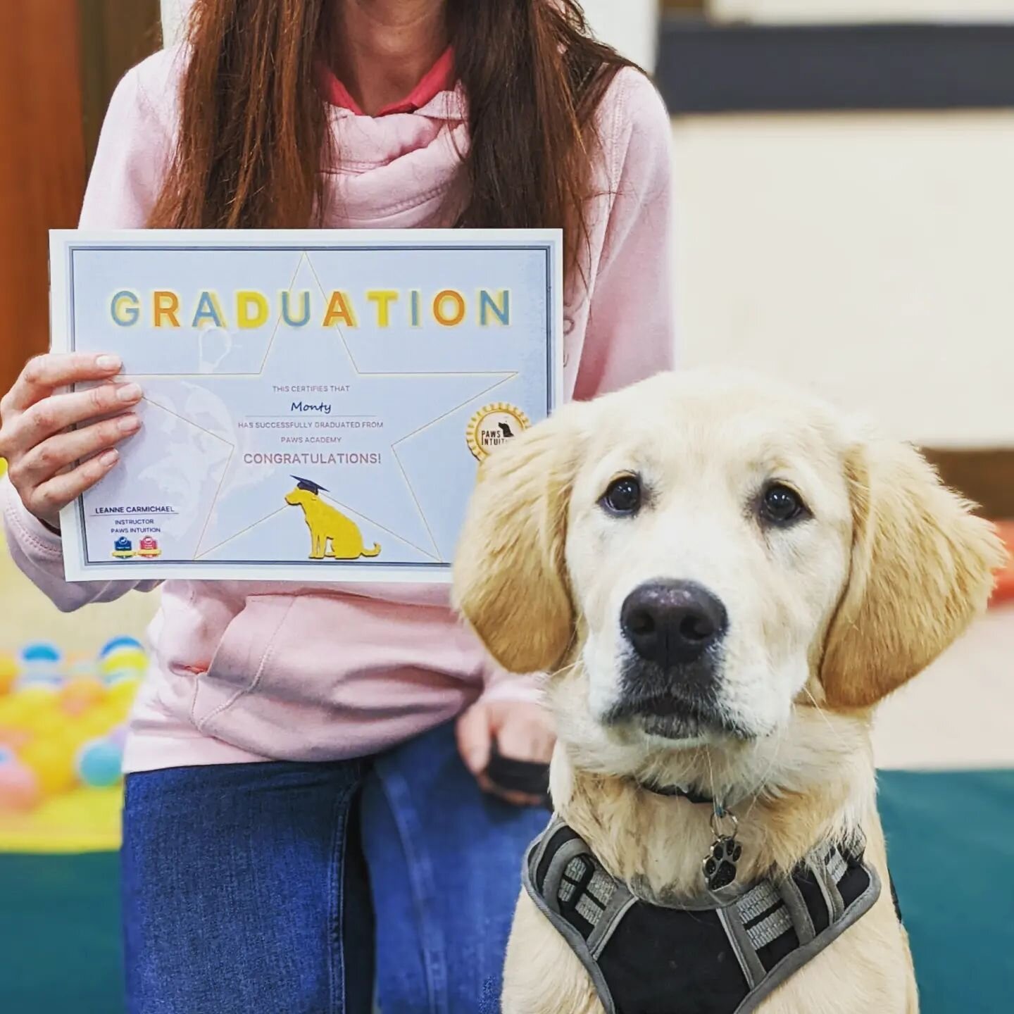 Puppy class graduates. They've all completed their 6 week programme and passed with flying colours. They've learnt loose lead walking, recall, good choices, food manners, self control, socialisation and confidence building. 

If you'd like to join ou