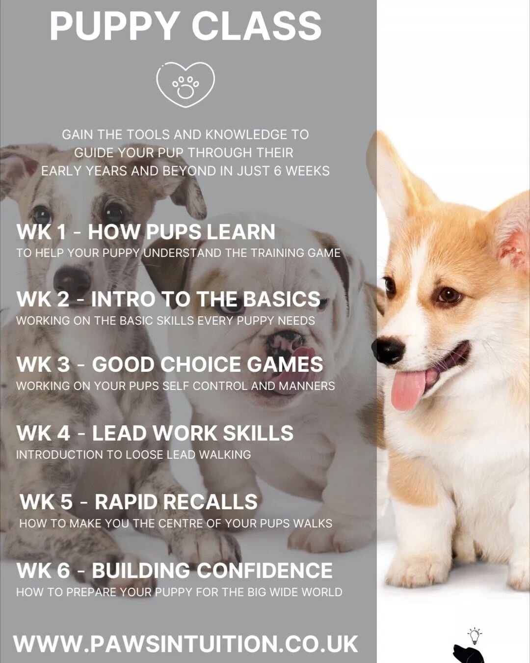 Why not give your puppy the best possible start in life and join one of my fun, friendly classes. They run every Monday evening for a 6 week course for pups aged 12-24 weeks. Check out the website for more information or to book. You won't be disappo