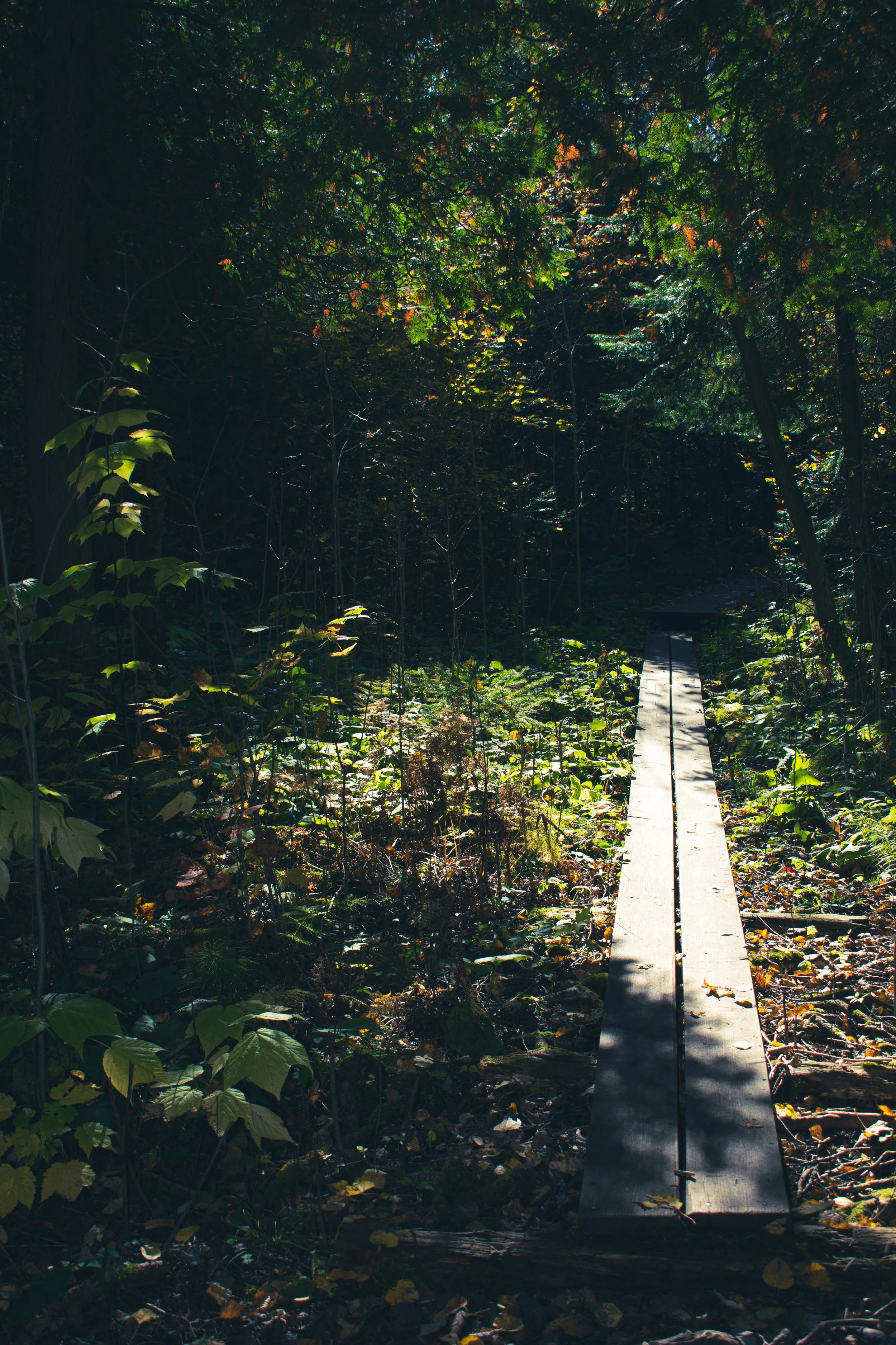 Killarney, Ontario (2021)