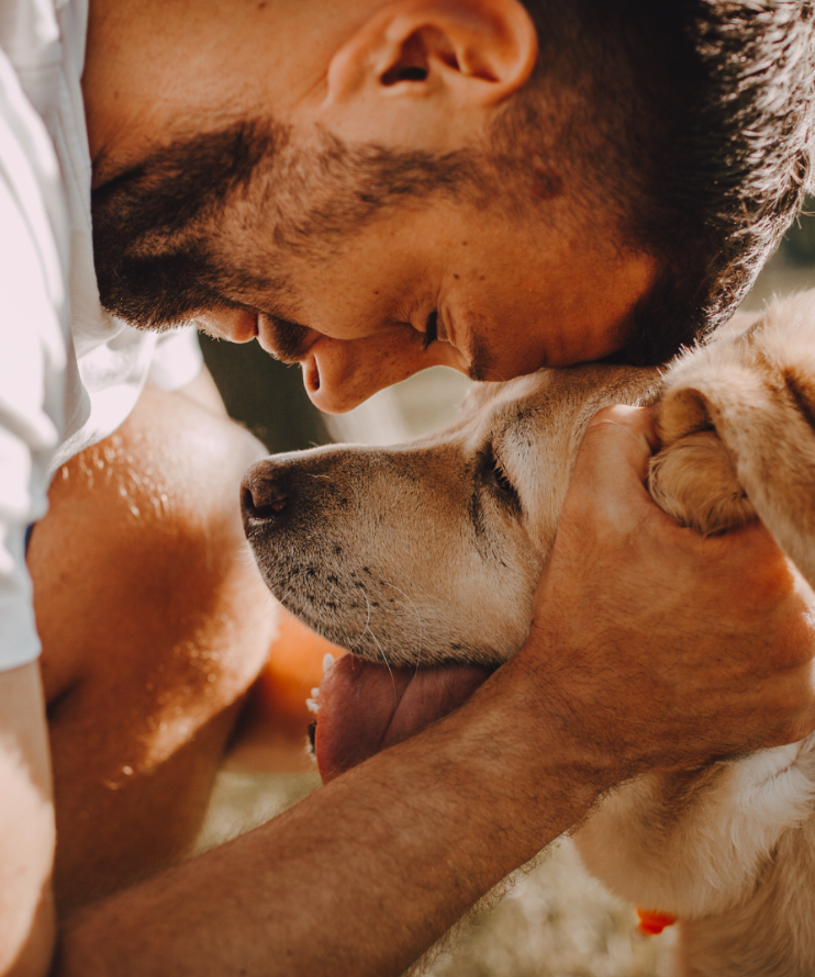 12-Wochen-Intensivkurs : Harmonie & Klarheit für und mit deinem feinfühligen Hund