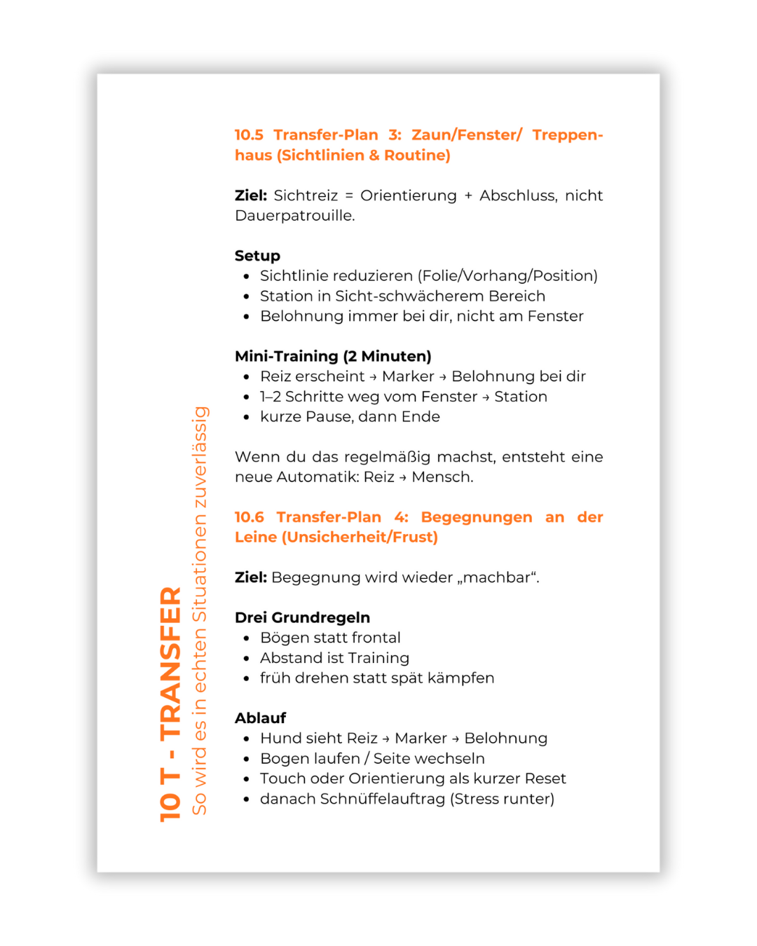 Schriftliches Dokument mit Anleitungen für Hundetraining, Abschnitte zu Transfer-Plan, Begegnungen an der Leine, inklusive Tipps und Abläufe, in deutscher Sprache.