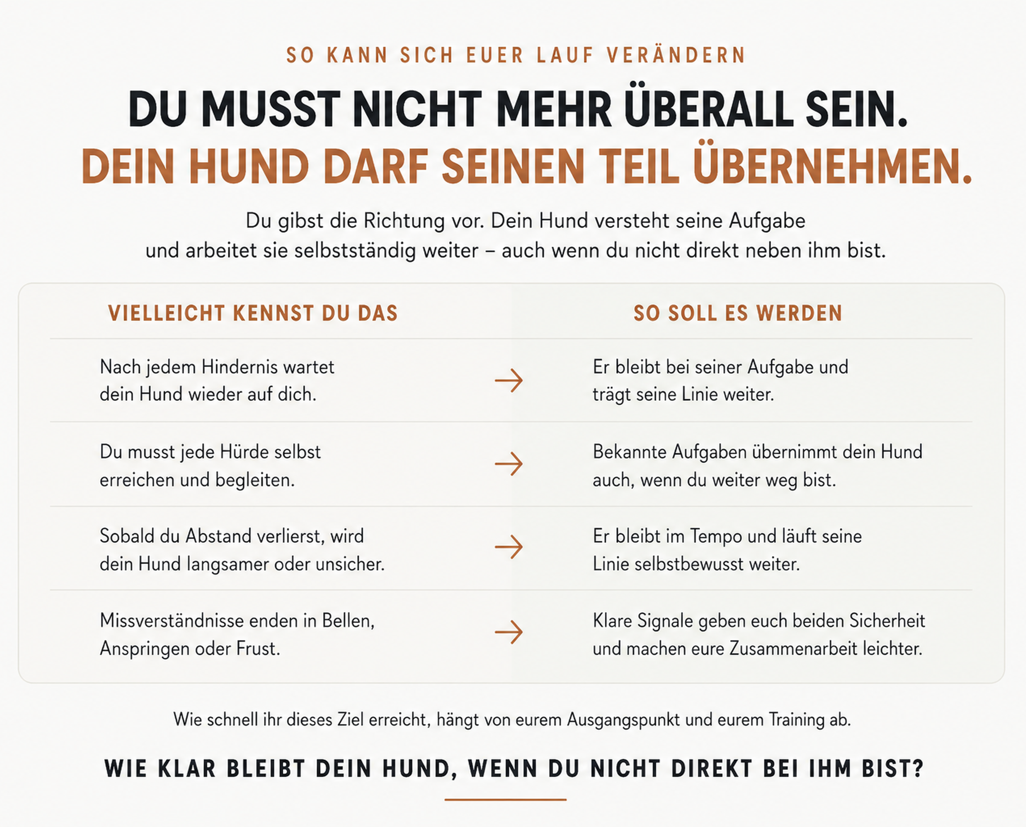 Text in deutscher Sprache mit Ratgeber-Tipps, wie man die Zusammenarbeit mit einem Hund verbessern und Missverständnisse vermeiden kann, inklusive Tipps für klare Signale und Zusammenarbeit.