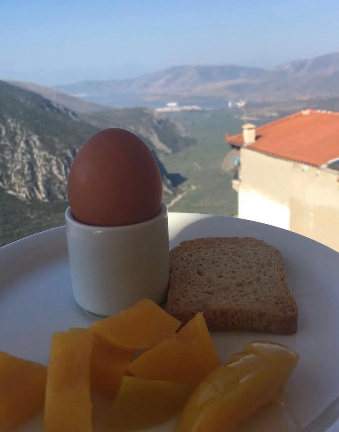 Yo Nutrition: Building Better Health, One Meal At A Time!