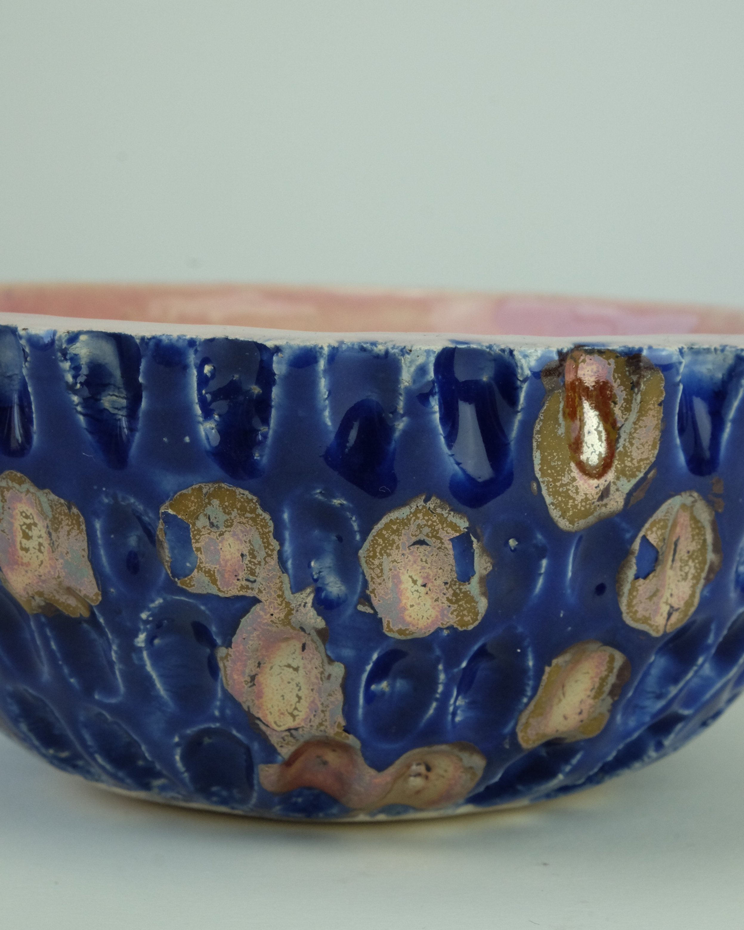 DSCF8340.jpg