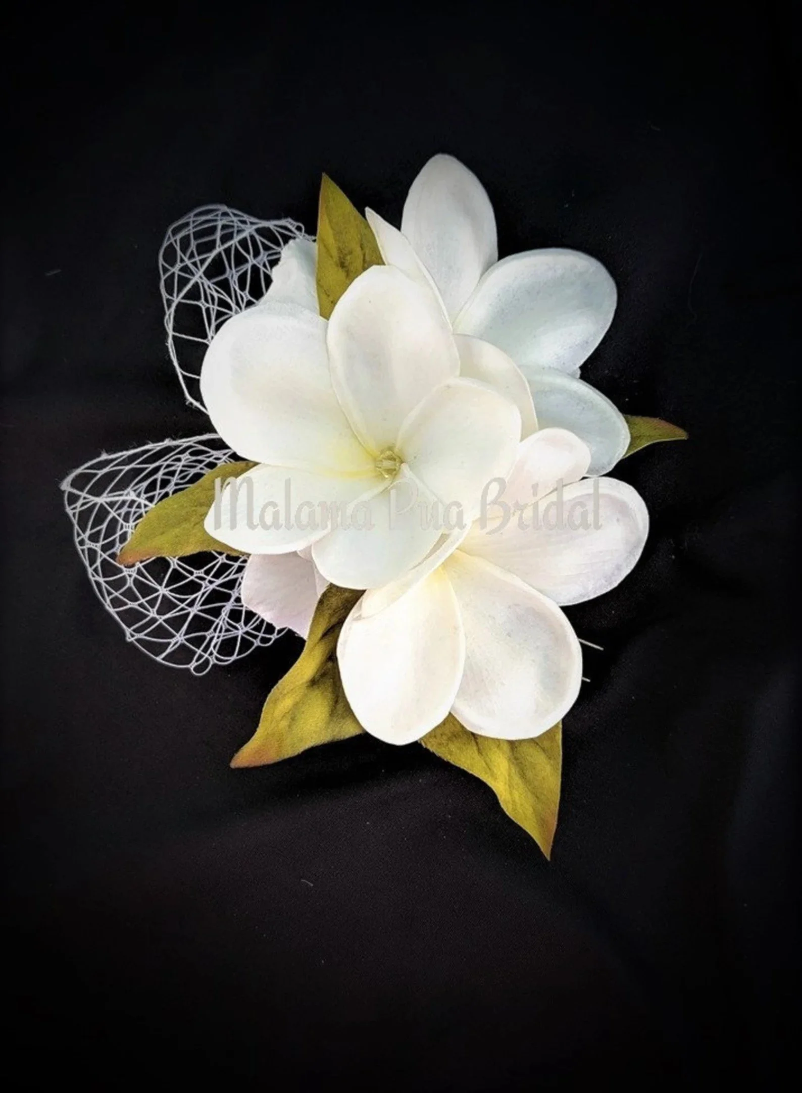 plumeria with netting.jpg