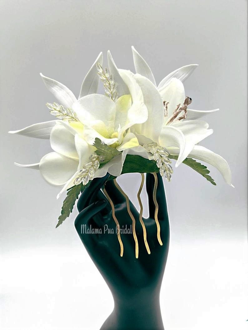 https://i.etsystatic.com/8017567/r/il/ebd4b5/2663236113/il_fullxfull.2663236113_pq6a.jpg