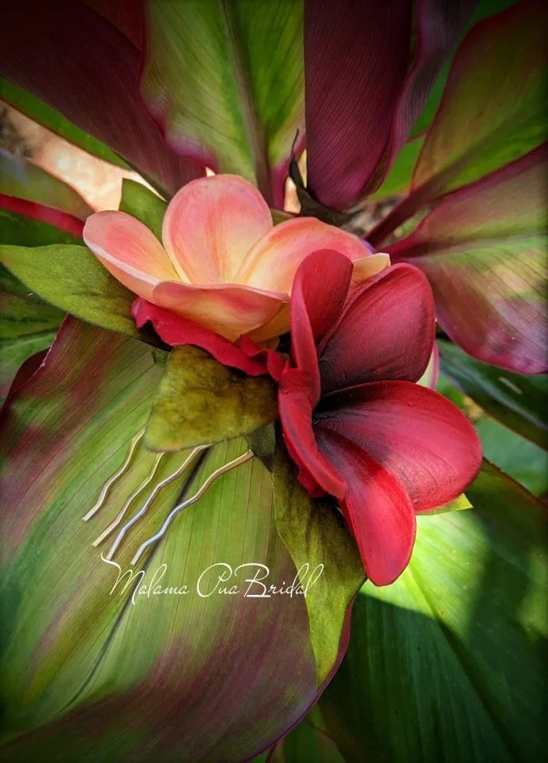 red sunset plumeria (3).jpg