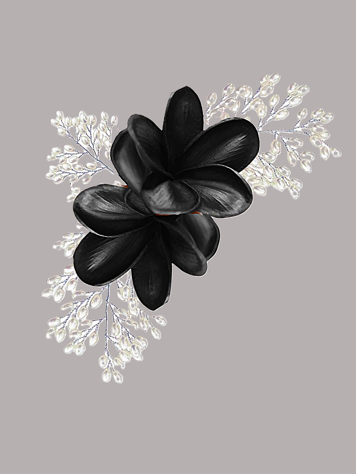 black%2Bplumeria.png