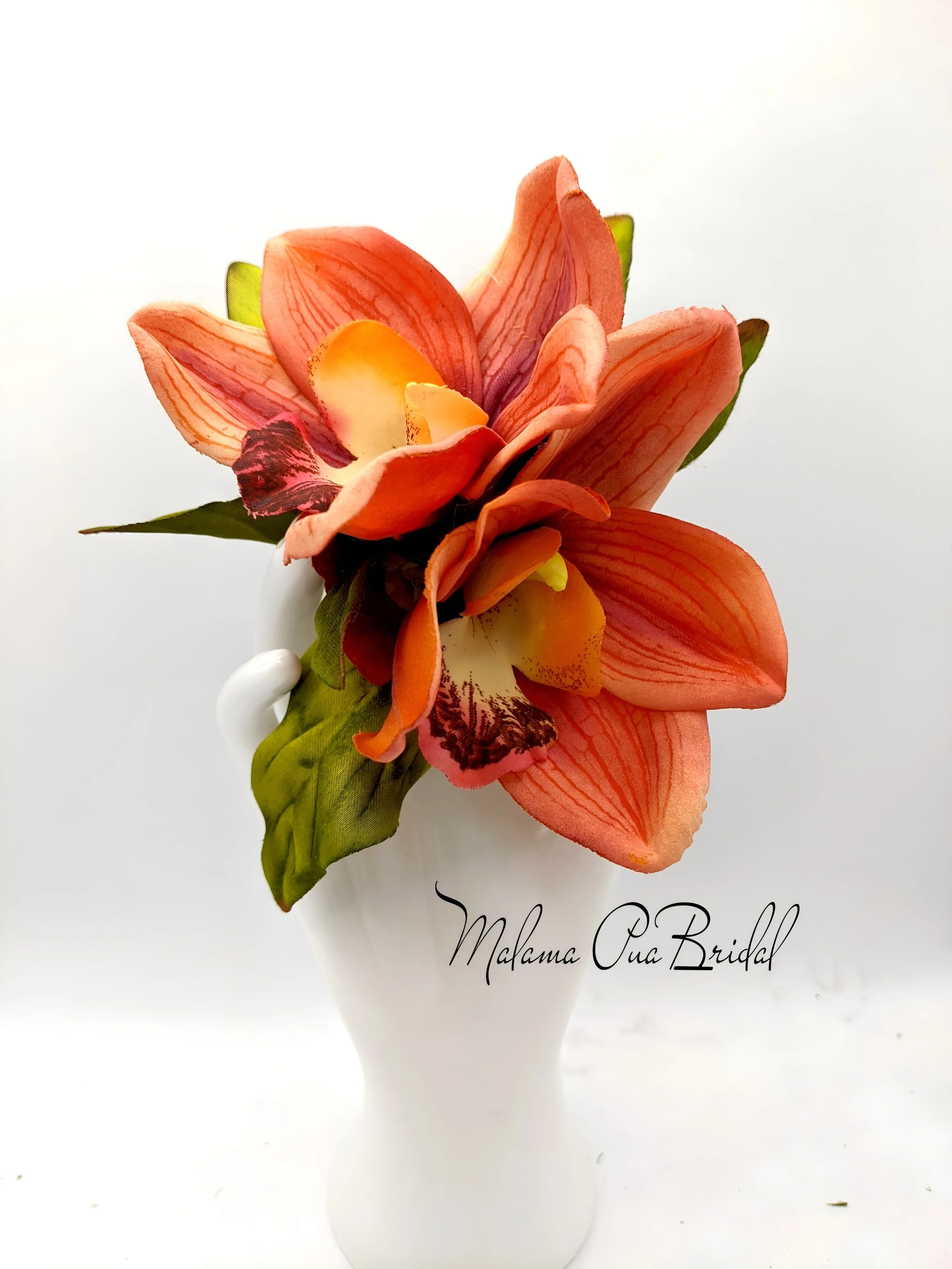 photostudio_1760397632321.jpg