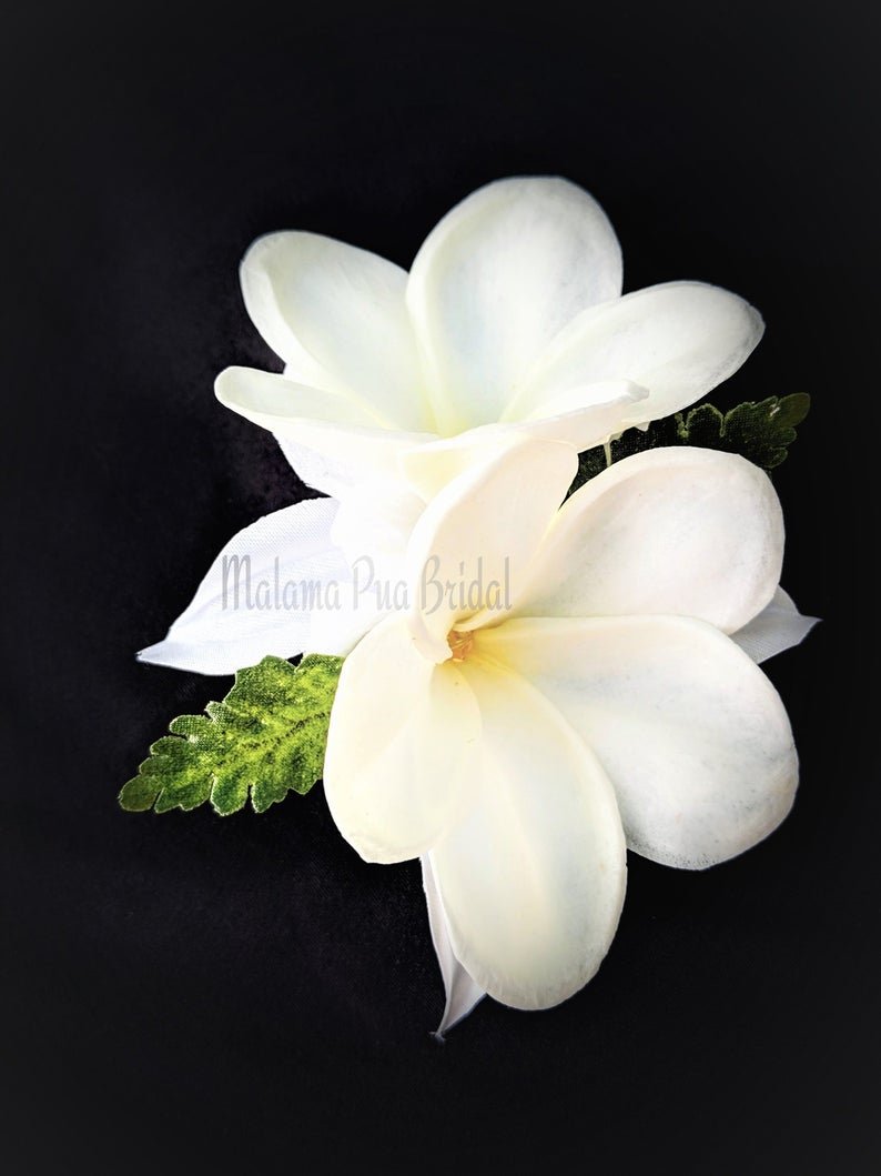 plumeria double white.jpg