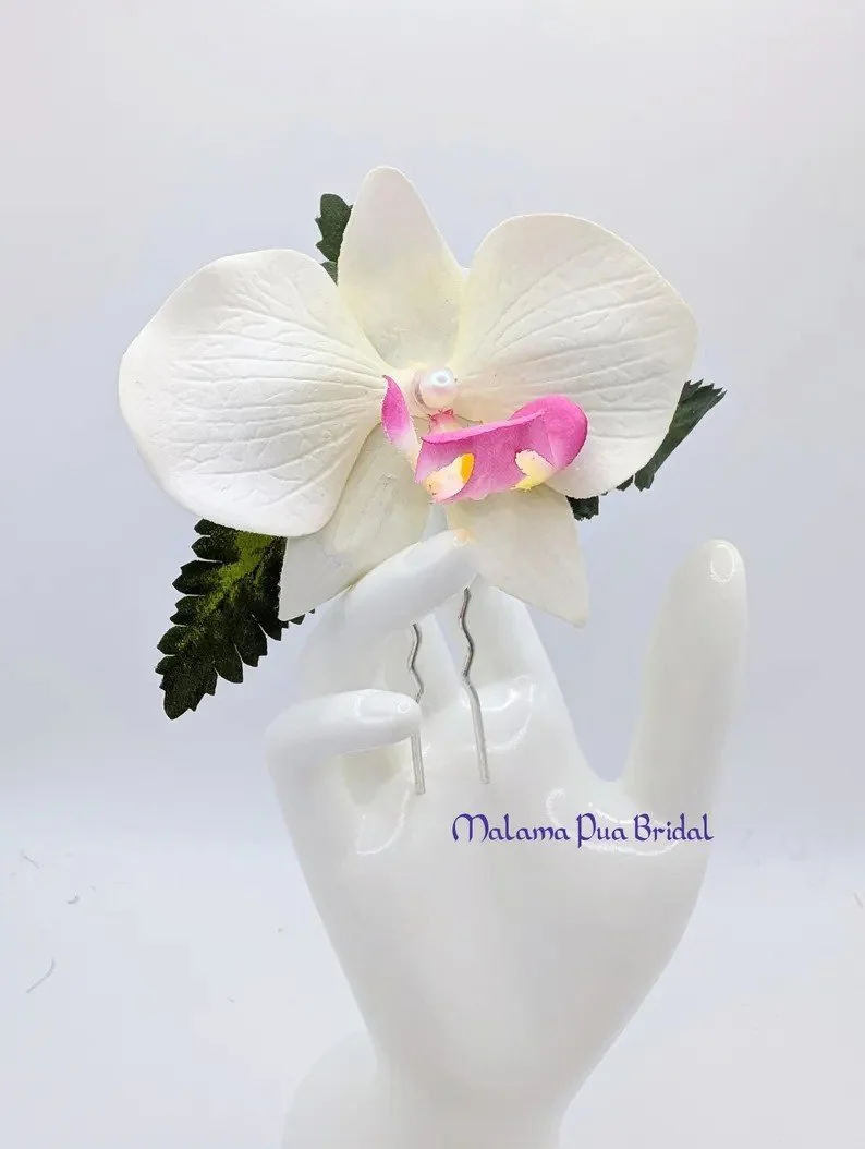 budget white orchid2.jpg