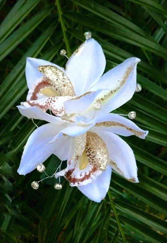white%2Bcattleya%2Borchid%2B%25284%2529.jpg