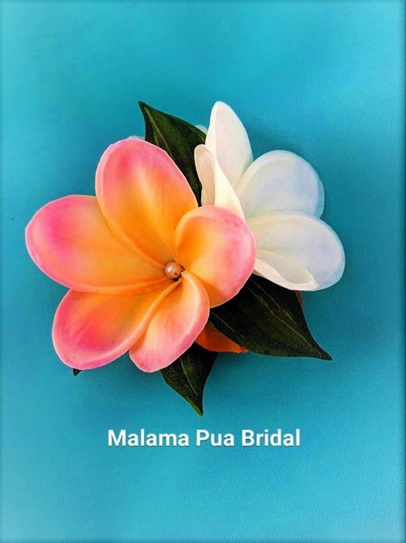 sunset+plumeria2+%282%29.jpg