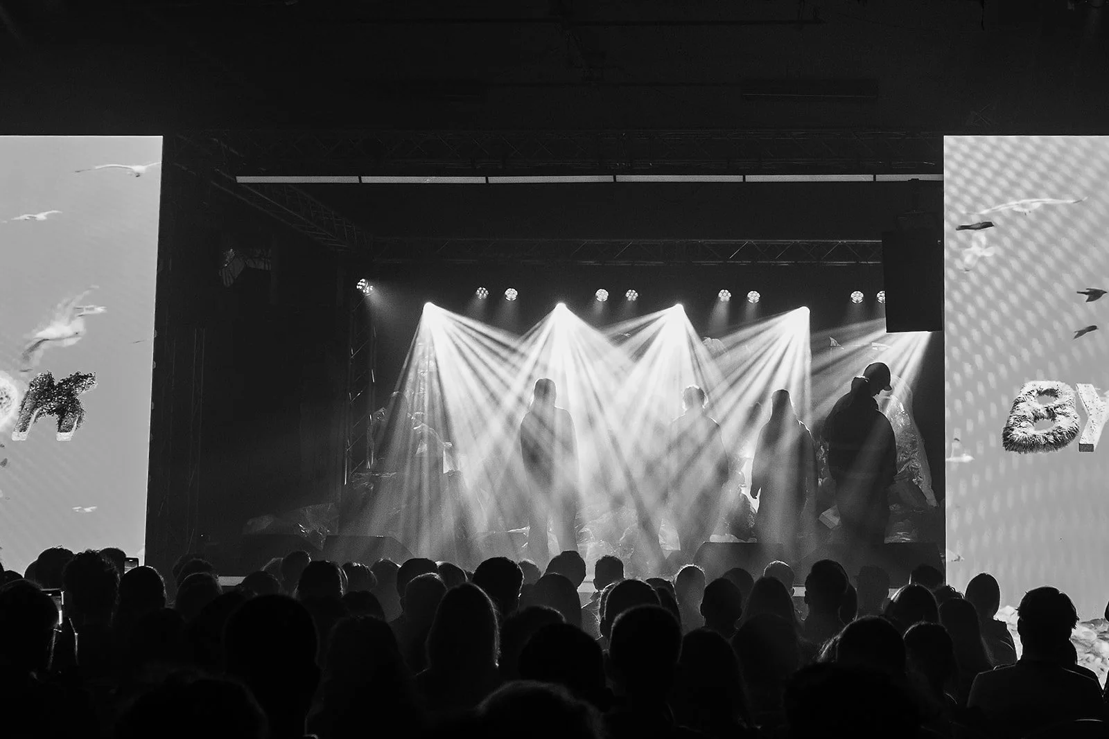 Iceland event photographer Steph Zakas with stage and crowd