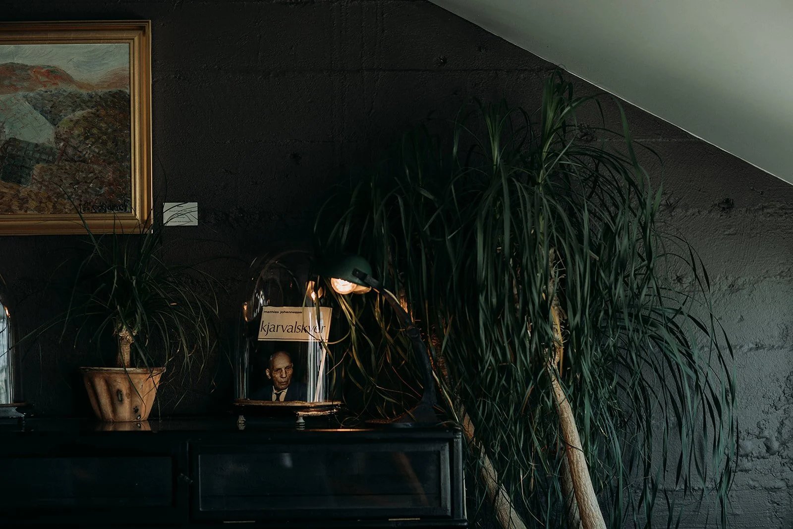 iceland innovation week private event by Steph Zakas event photographer iceland