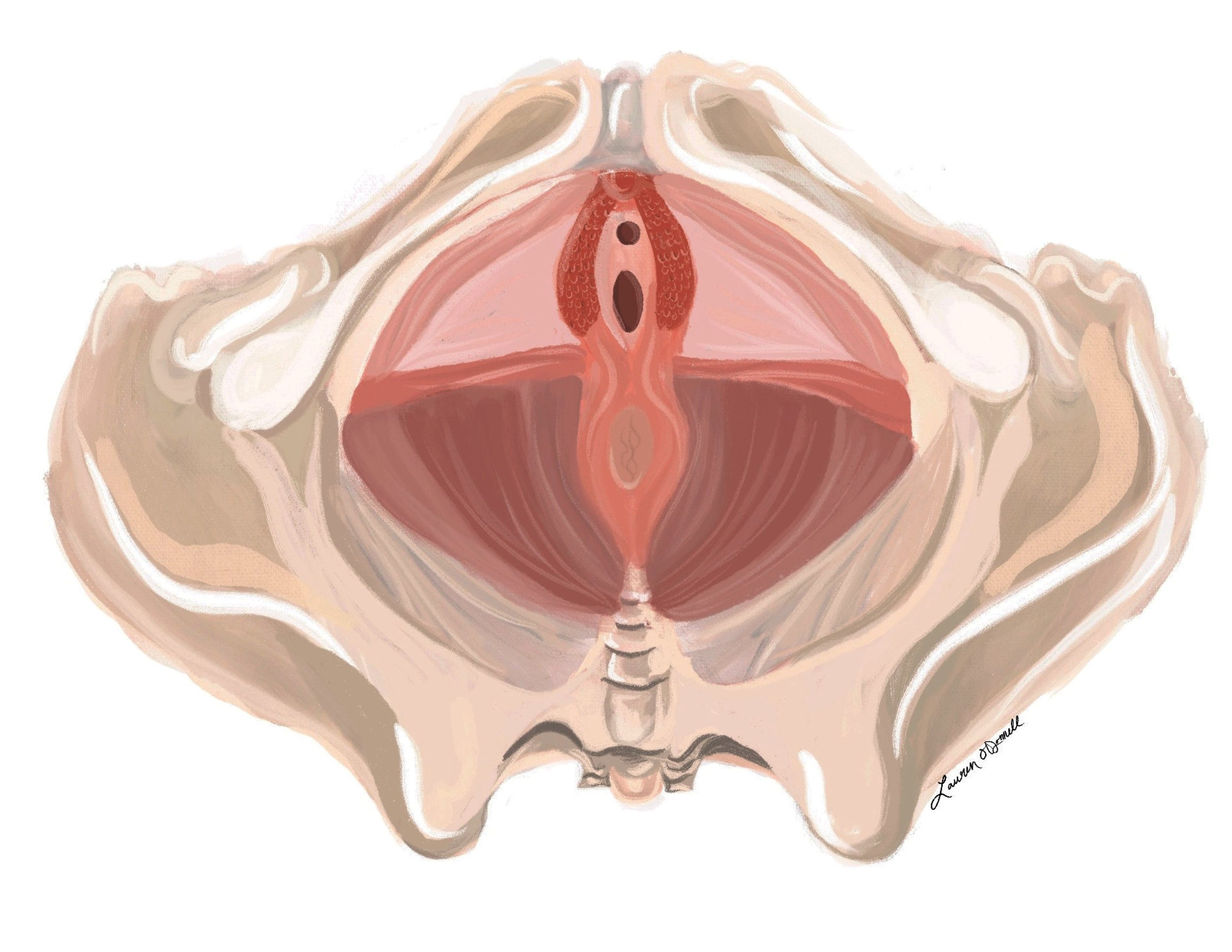 Pelvic Floor & Whole Body Physical Therapy
