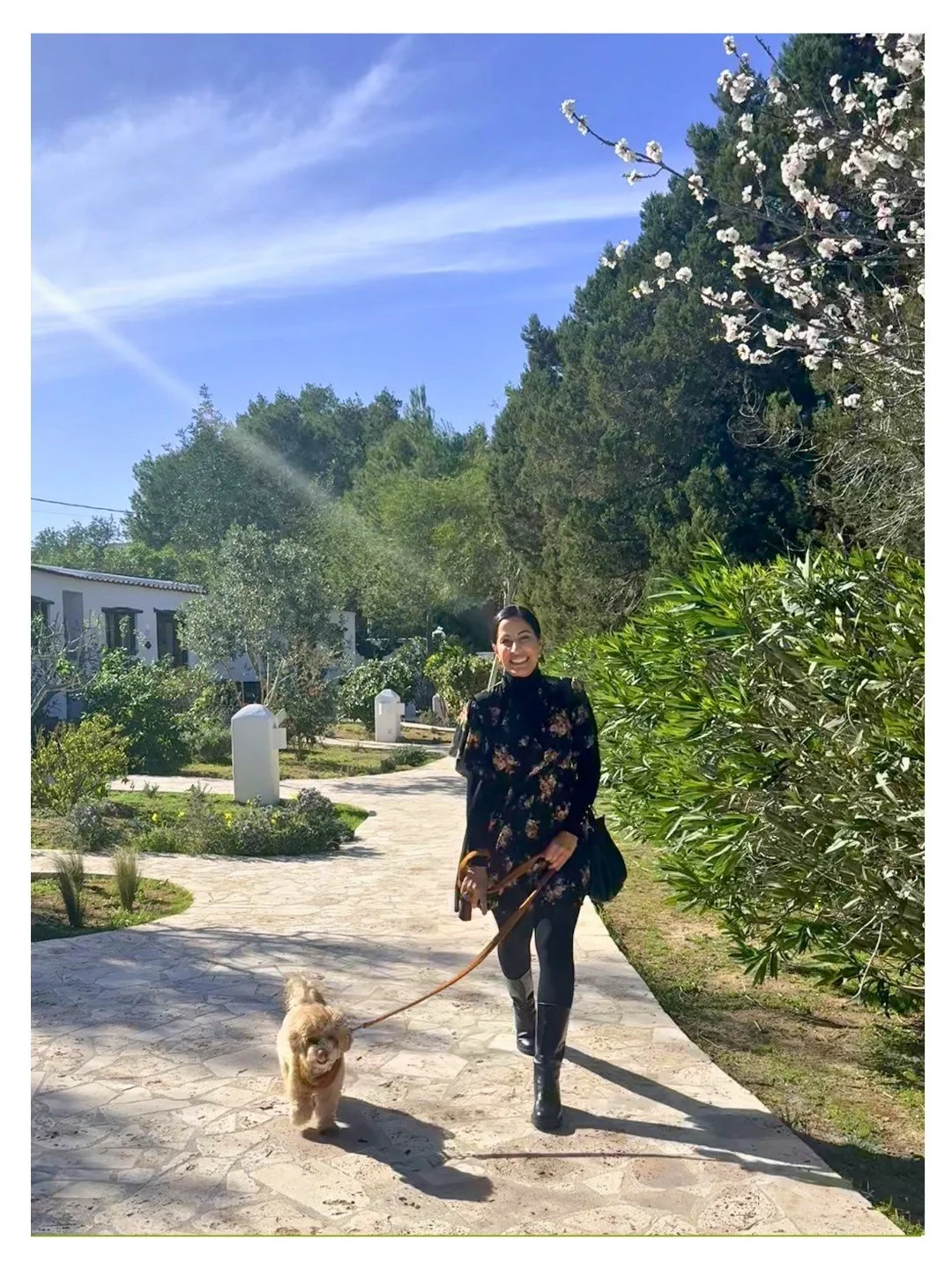 Swipe for a pup close-up! 
Some mornings in Ibiza remind me why I love living here so much 🤩

A quiet drive into the Benimussa hills, the sun already warm, the scent of pine in the air&hellip; and suddenly you arrive at places like Zeneat at Can Vis