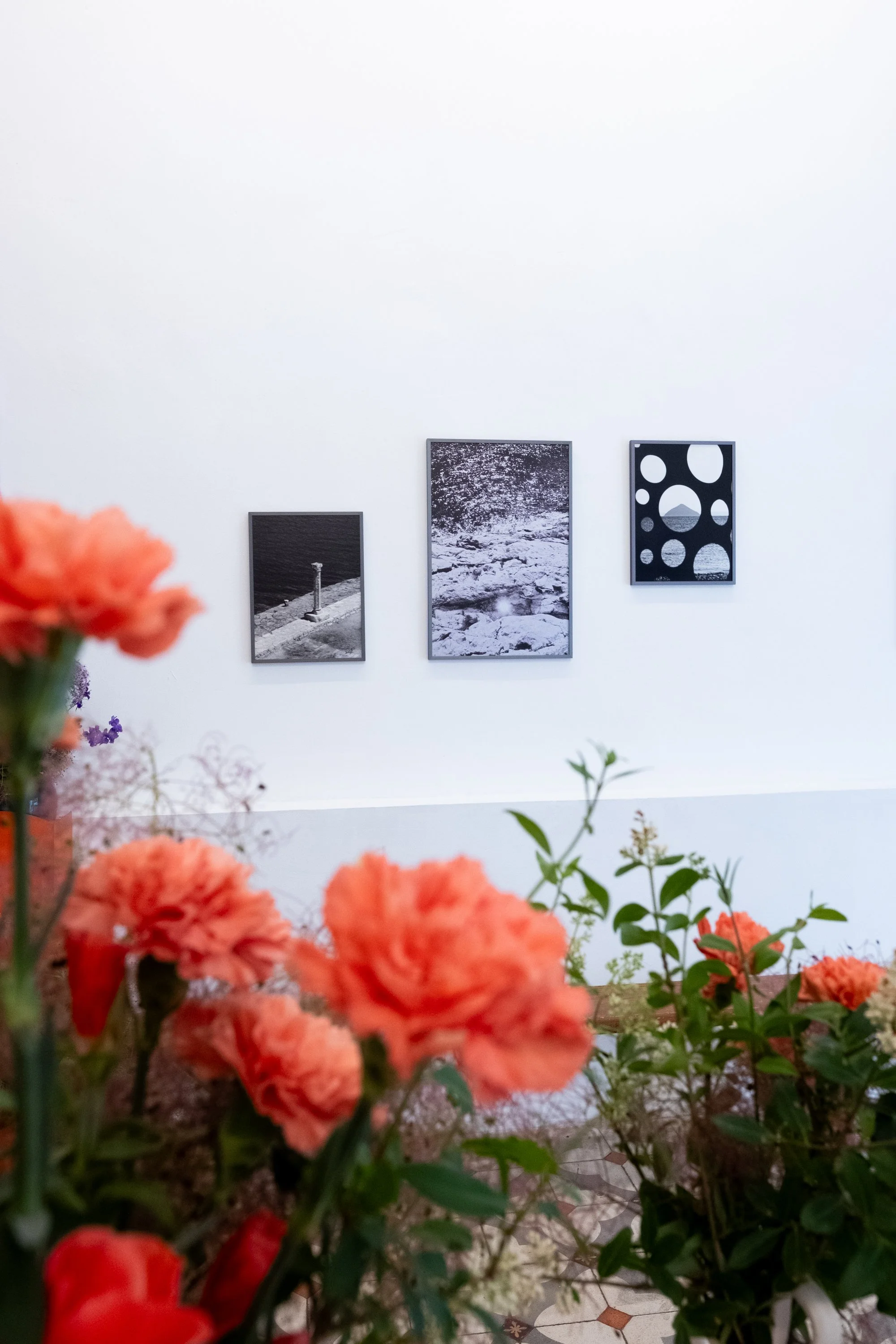 Expo collective Solarium-9.jpg