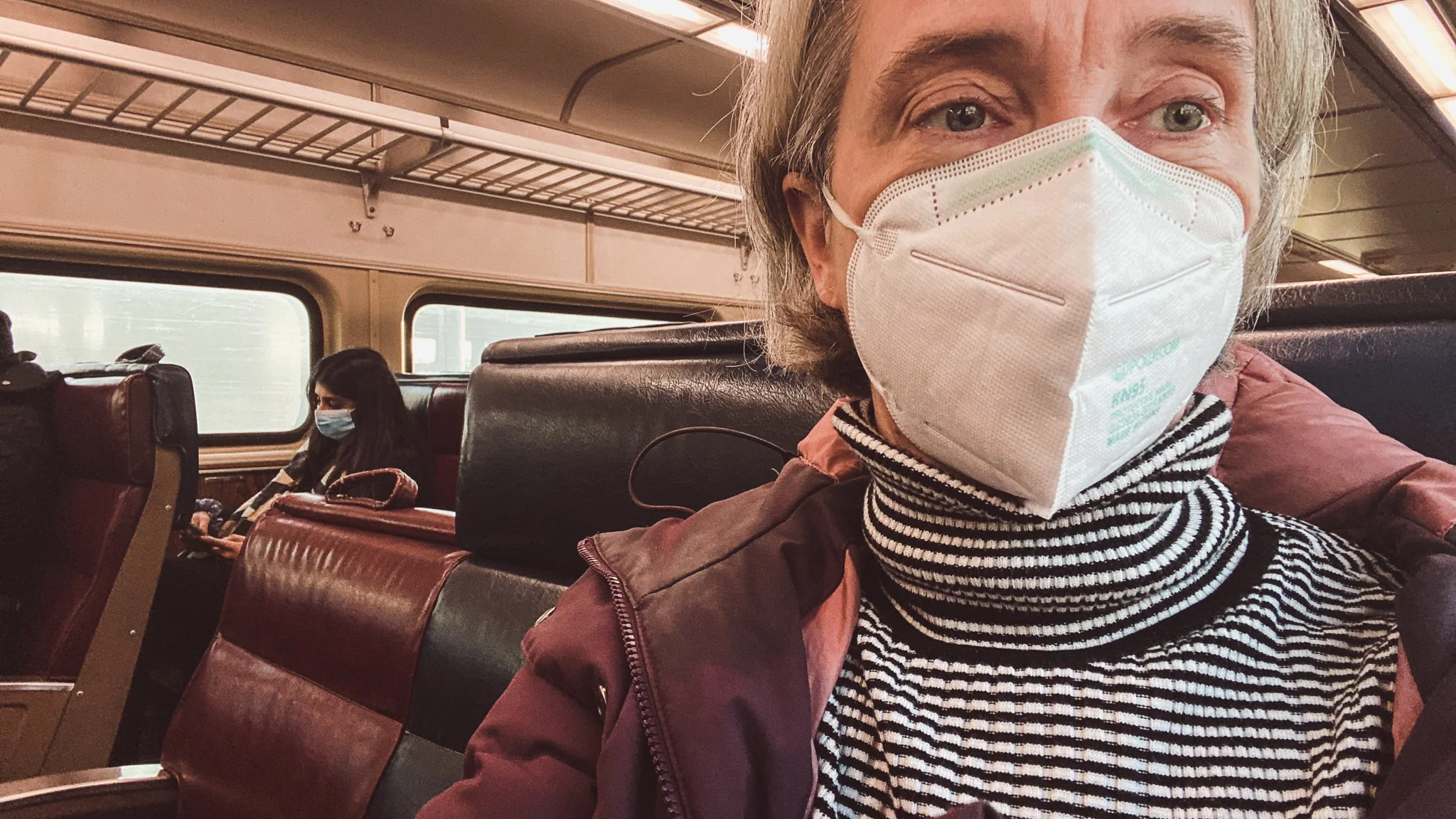 Writer on the train looking out window.