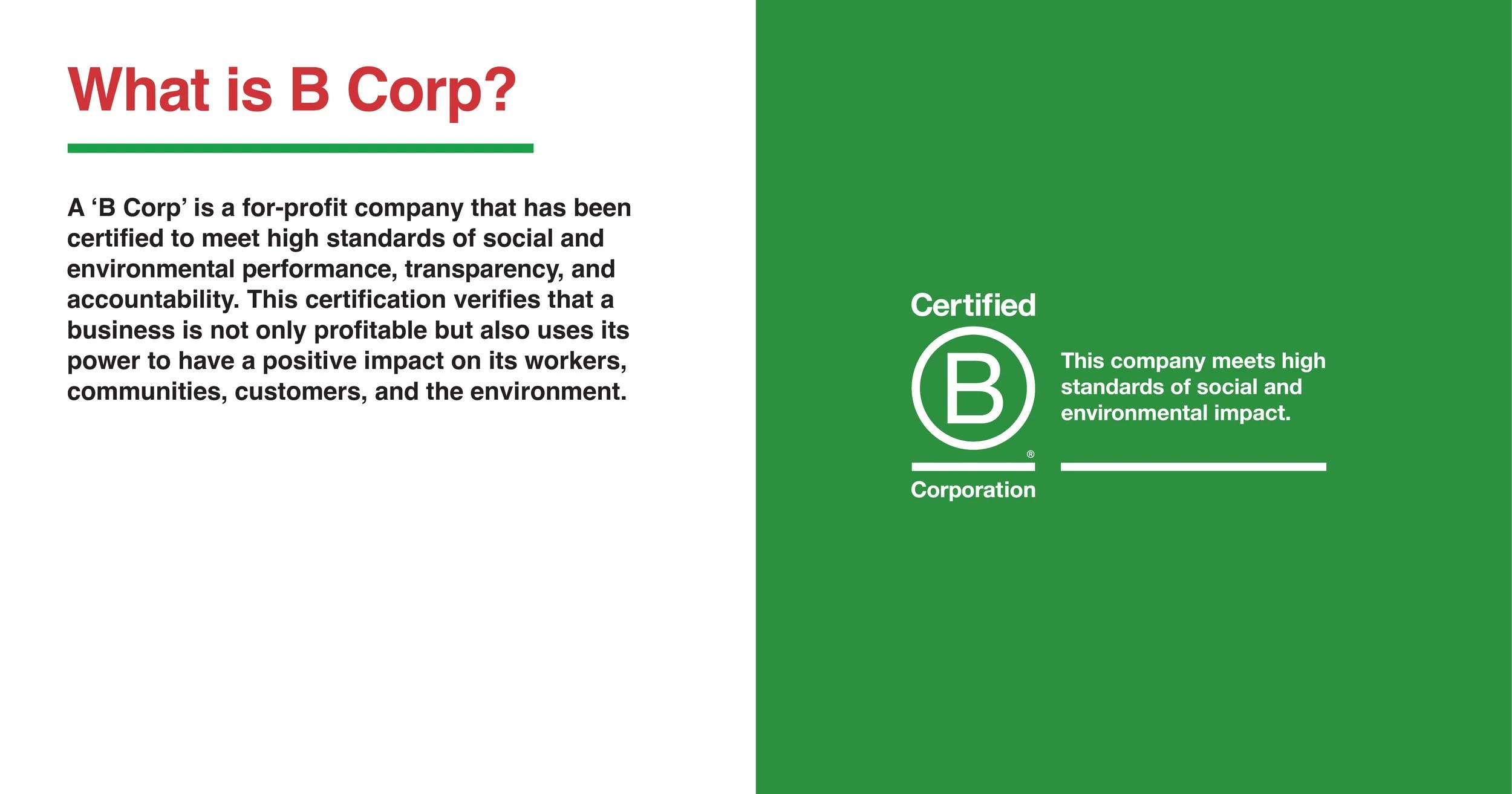 Bcorp_windles-02.jpg