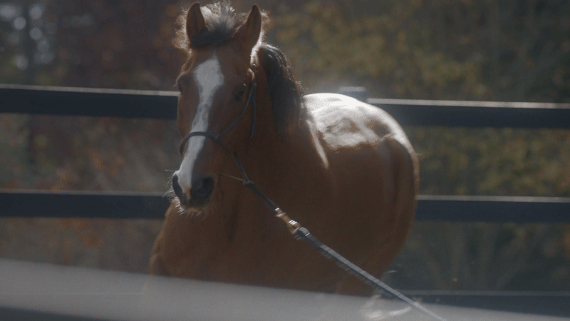 Hailes: Gravity (Music Video)