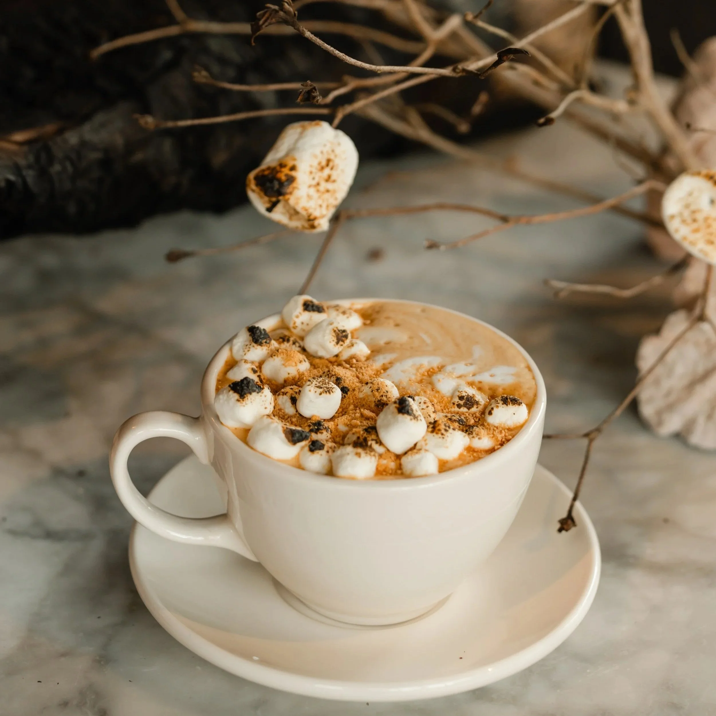 Close-up of a white ceramic mug filled with sweet potato syrup, topped with marshmallows, and graham cracker with dried twigs or branches in the background.