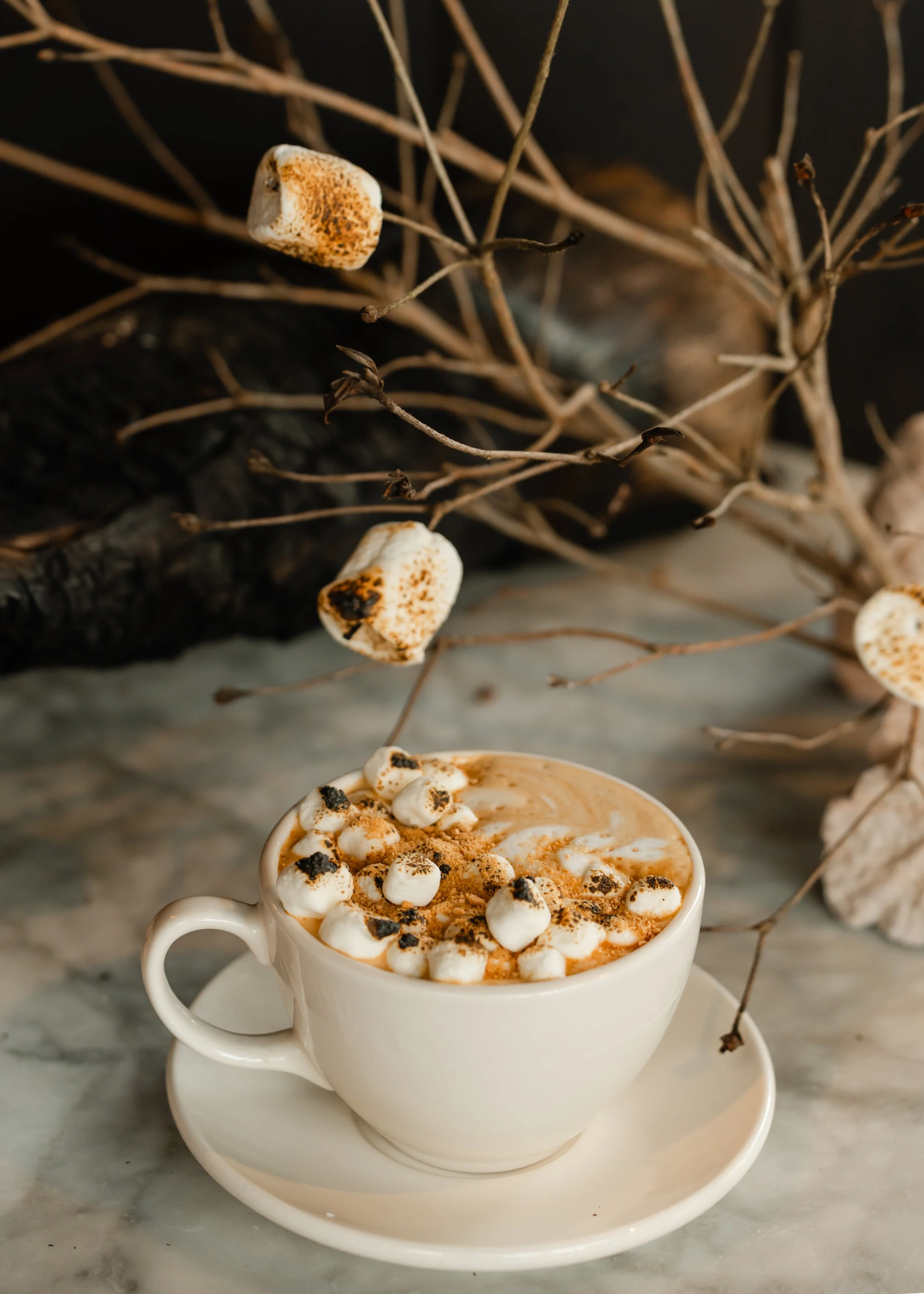Close-up of a white ceramic mug filled with sweet potato syrup, topped with marshmallows, and graham cracker with dried twigs or branches in the background.