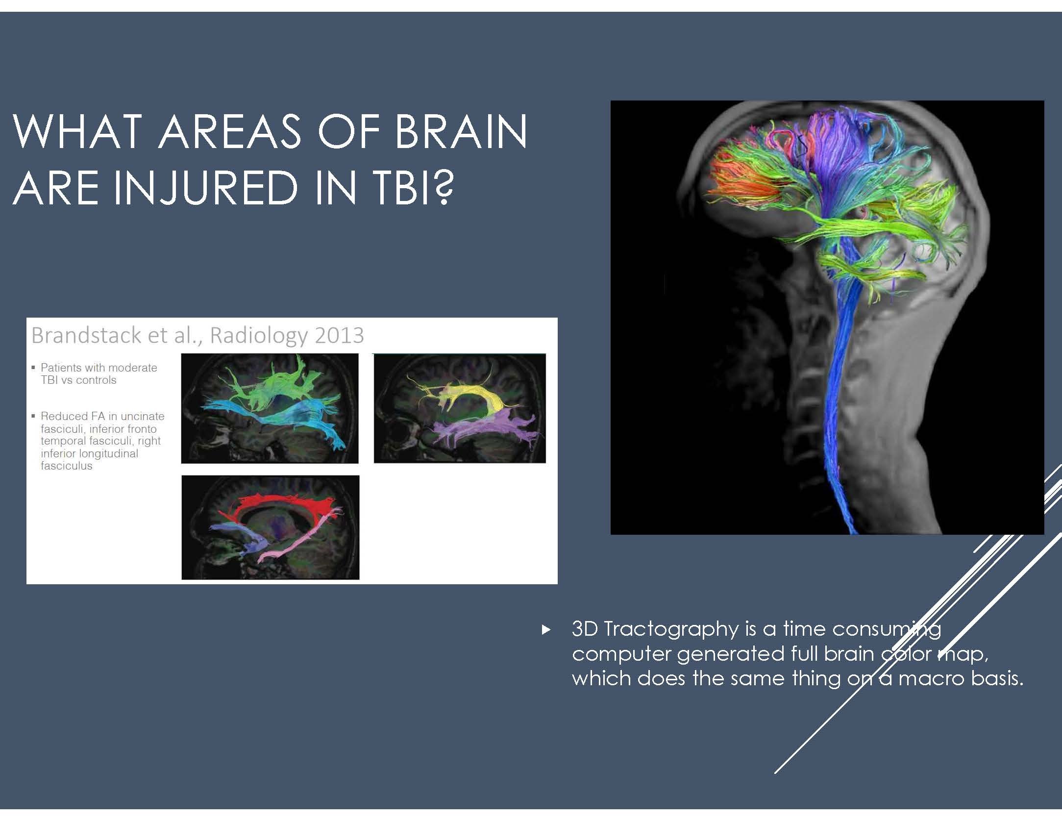 What area Brain injured slide_TBI.jpg