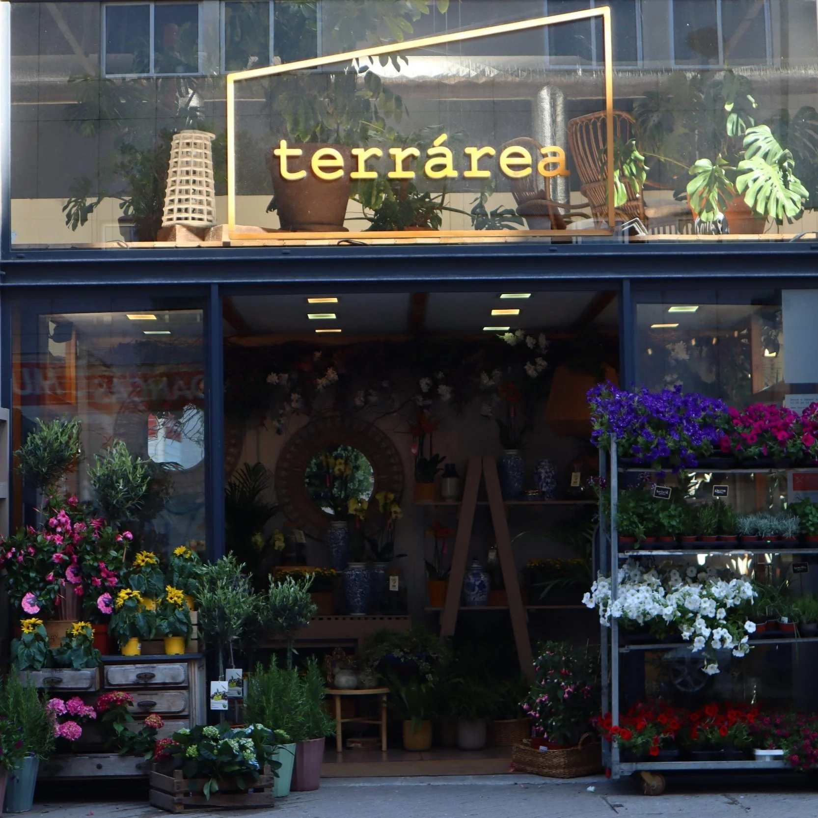 Terrárea